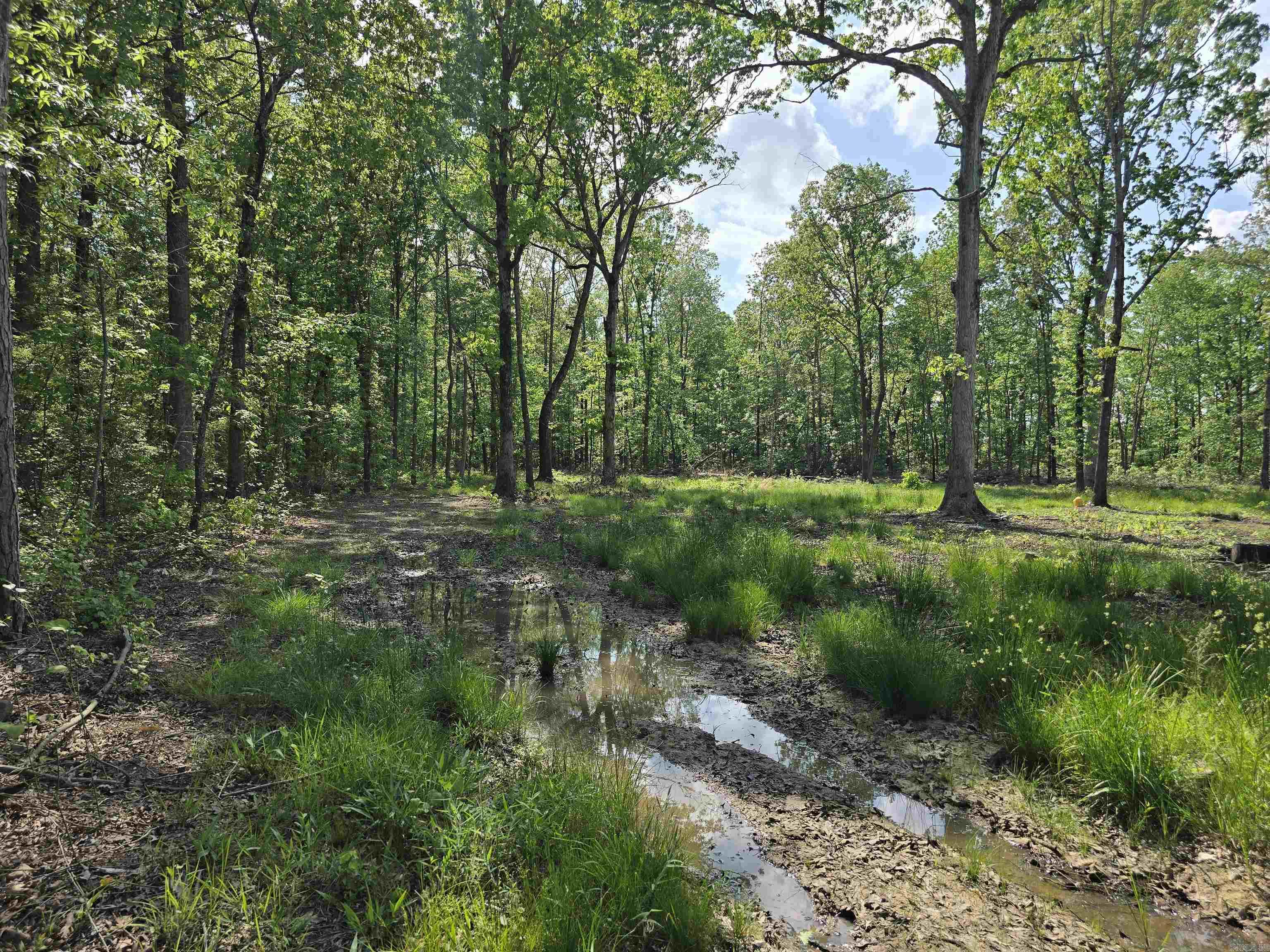 588 Lebanon  McRae, AR