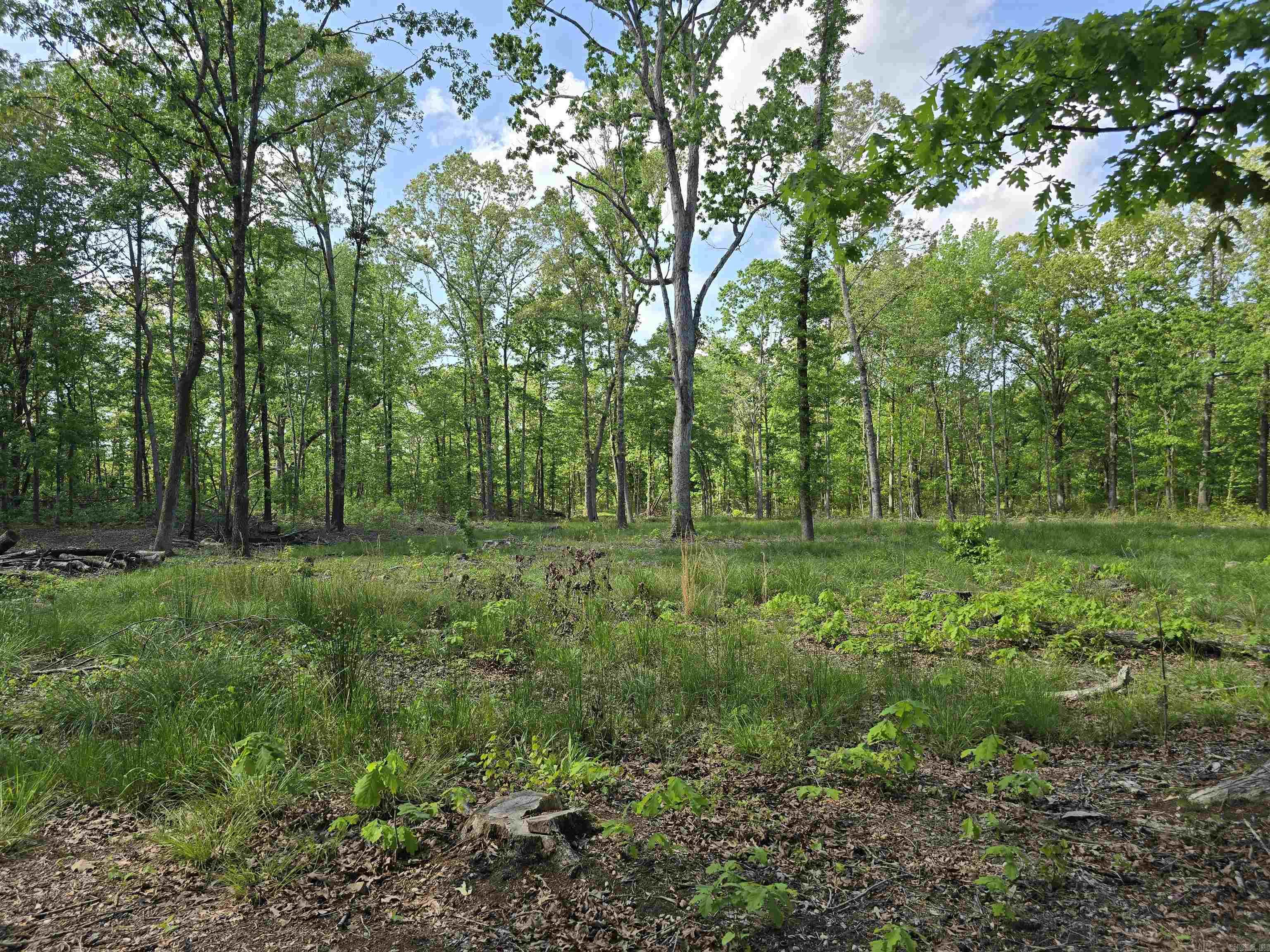 588 Lebanon Road — photo 3