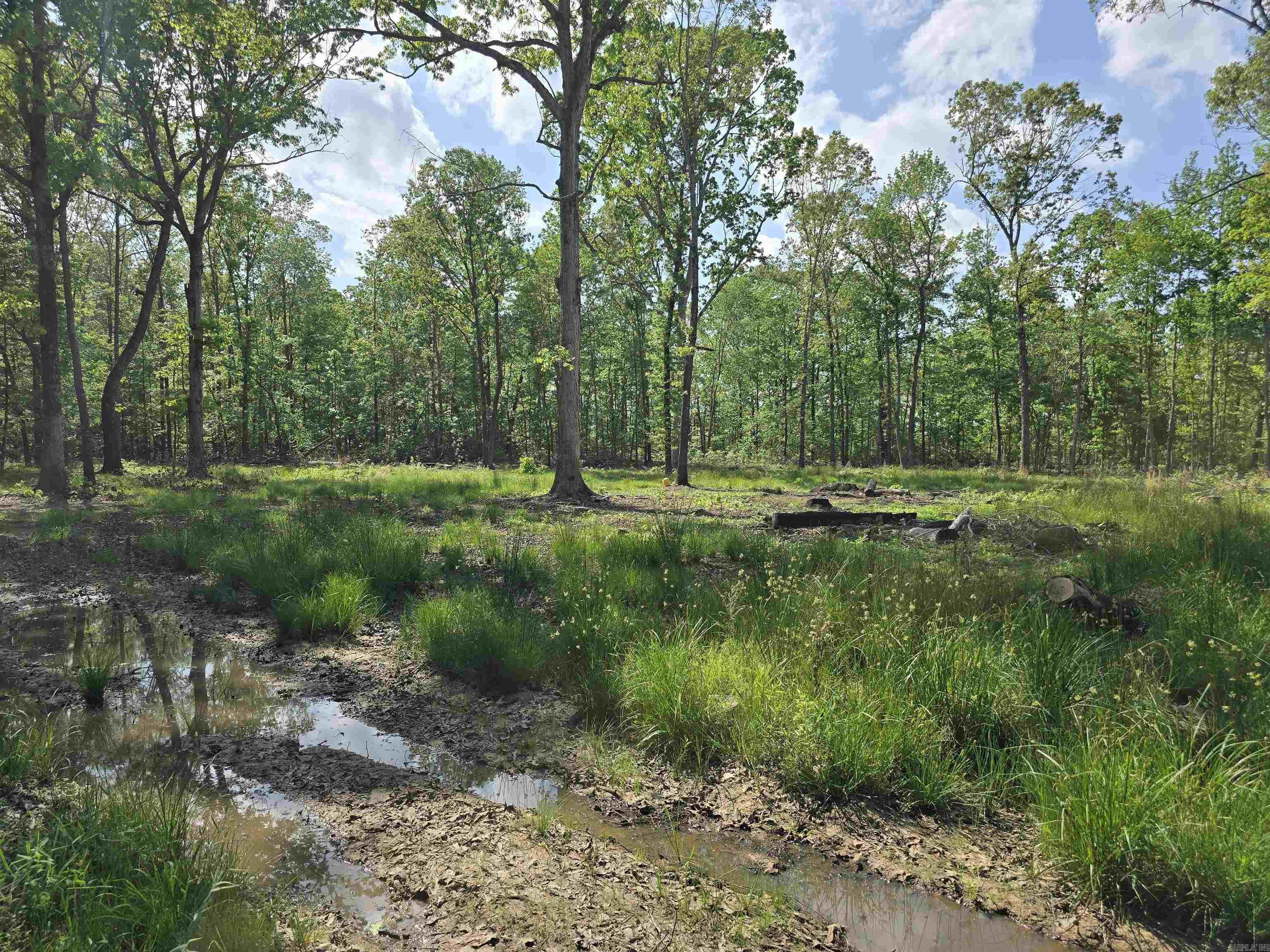 588 Lebanon  McRae, AR