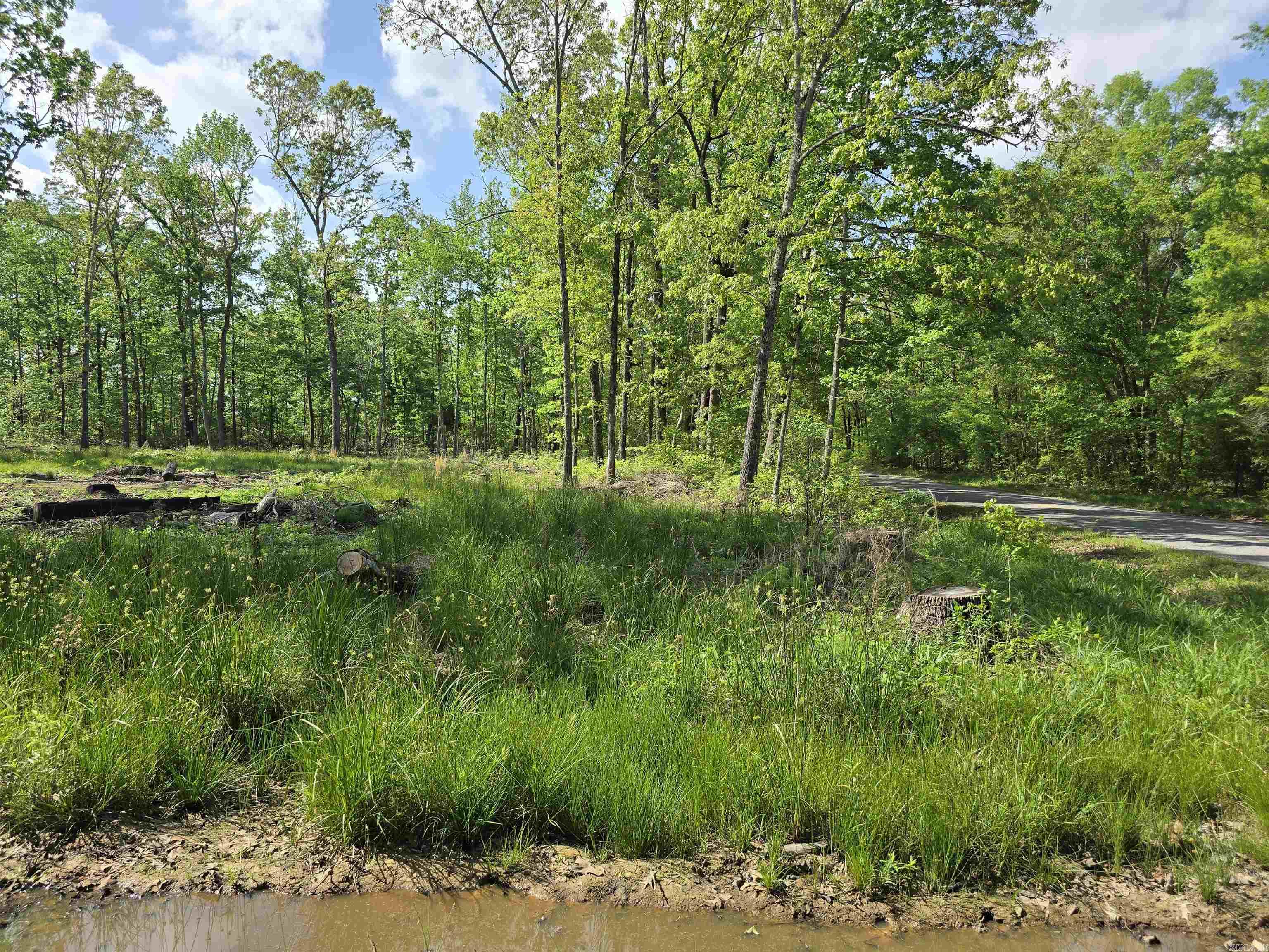 588 Lebanon  McRae, AR