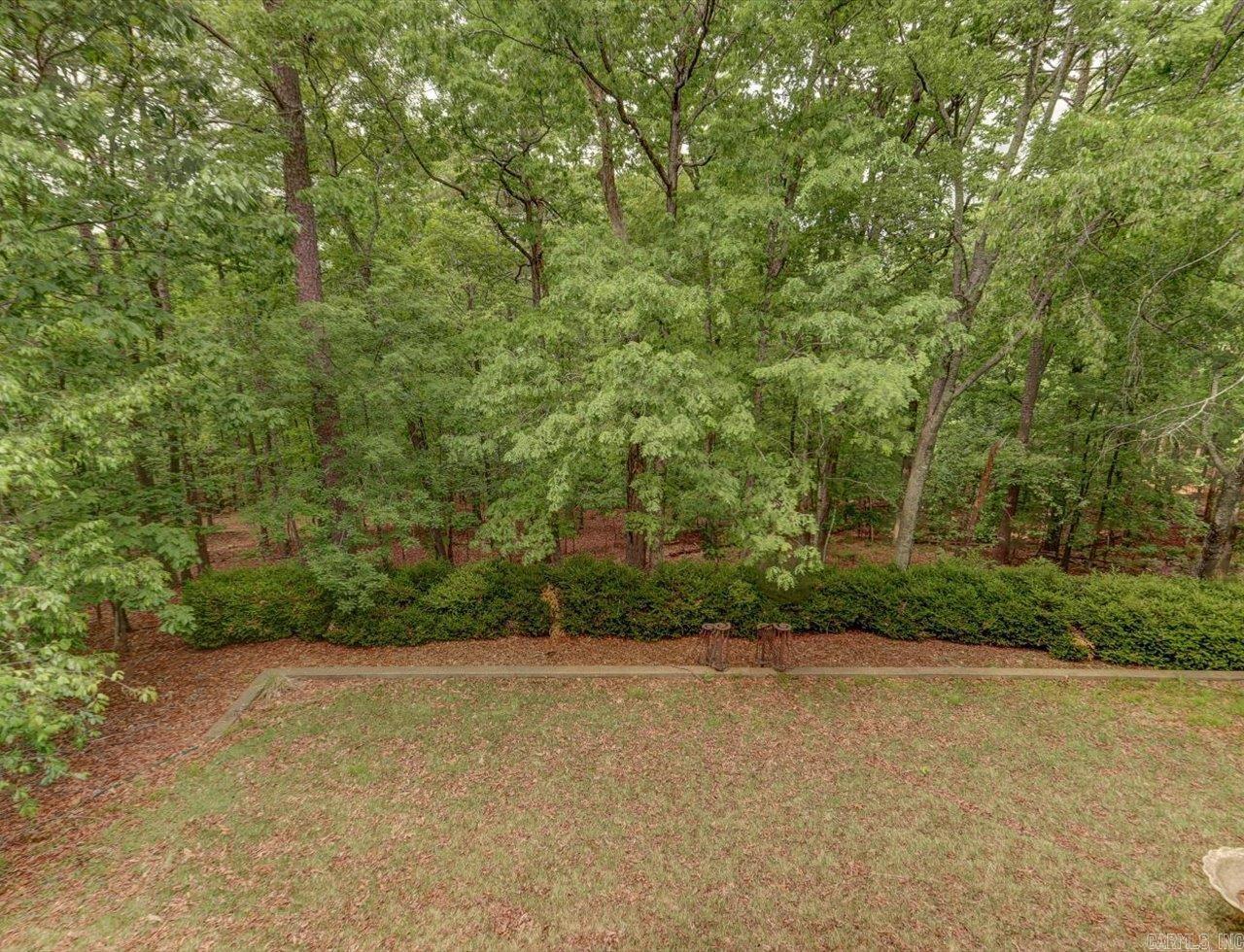 54 Tomino  Hot Springs Village, AR