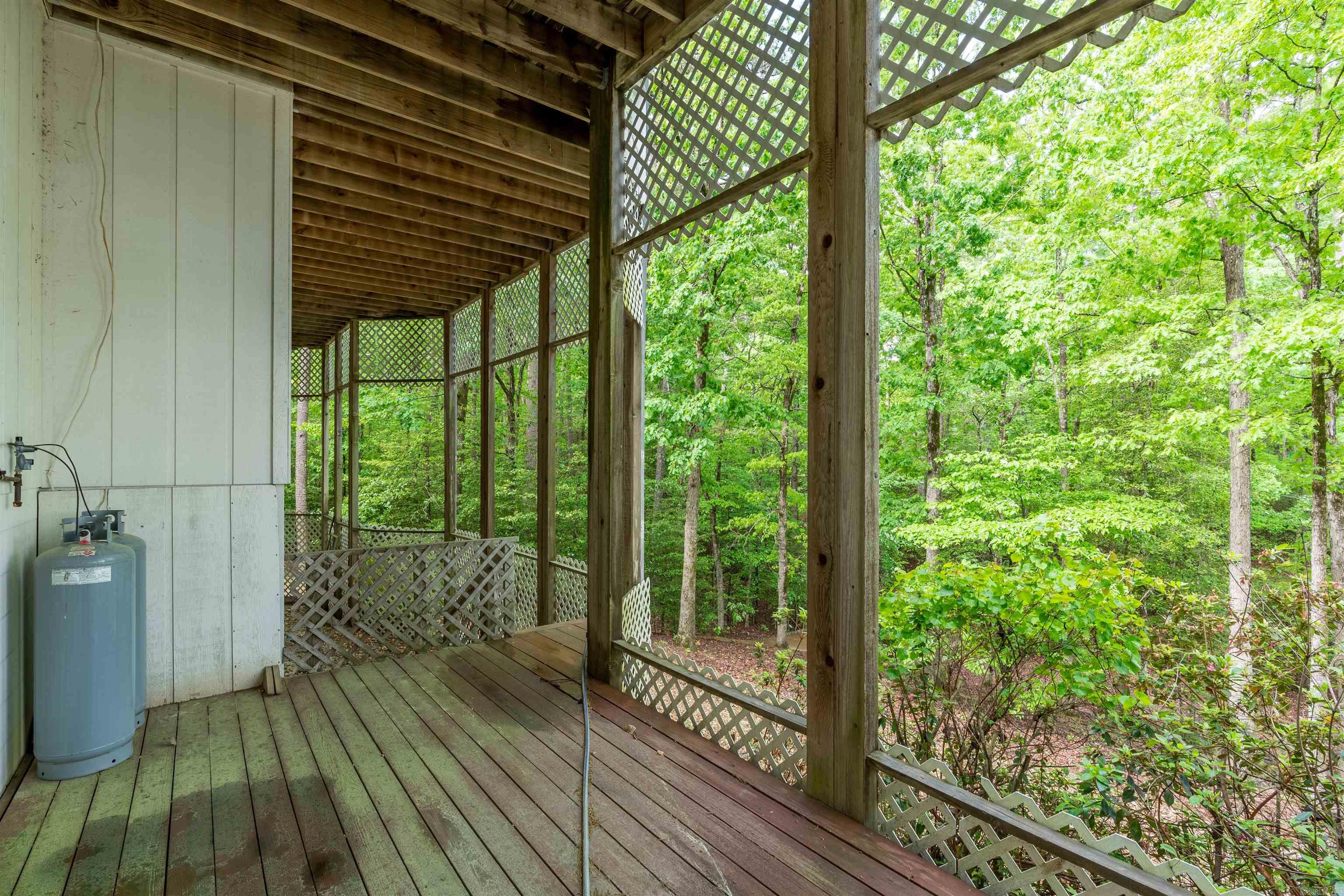 14 Narvaez  Hot Springs Village, AR