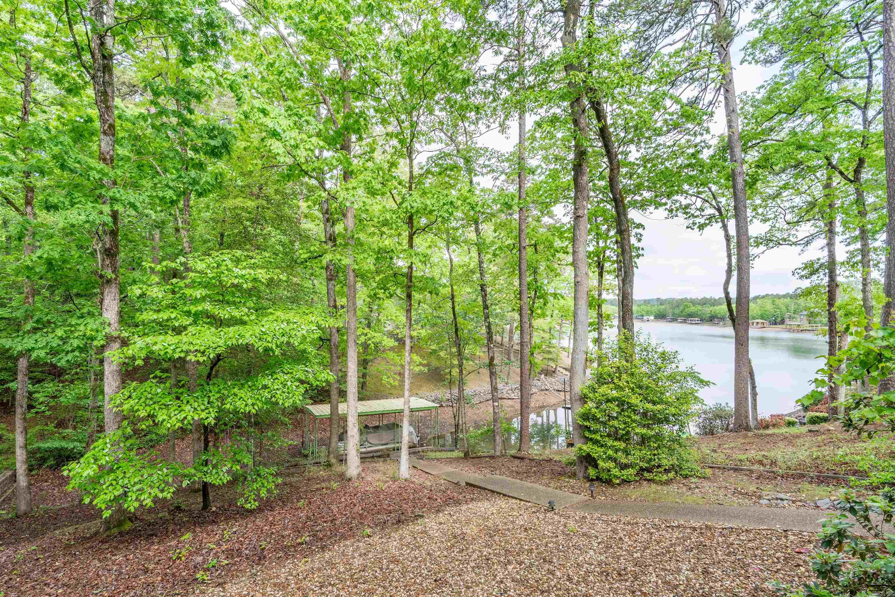 14 Narvaez  Hot Springs Village, AR