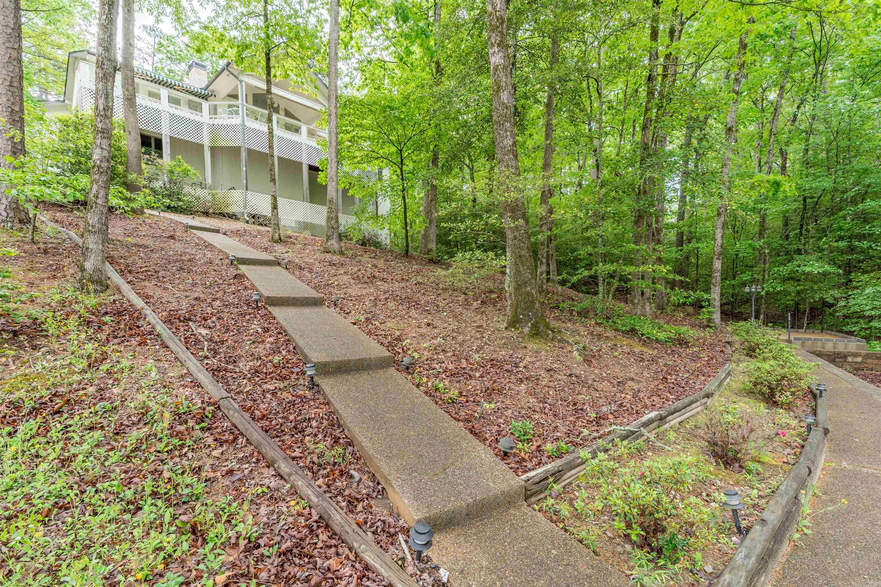 14 Narvaez  Hot Springs Village, AR