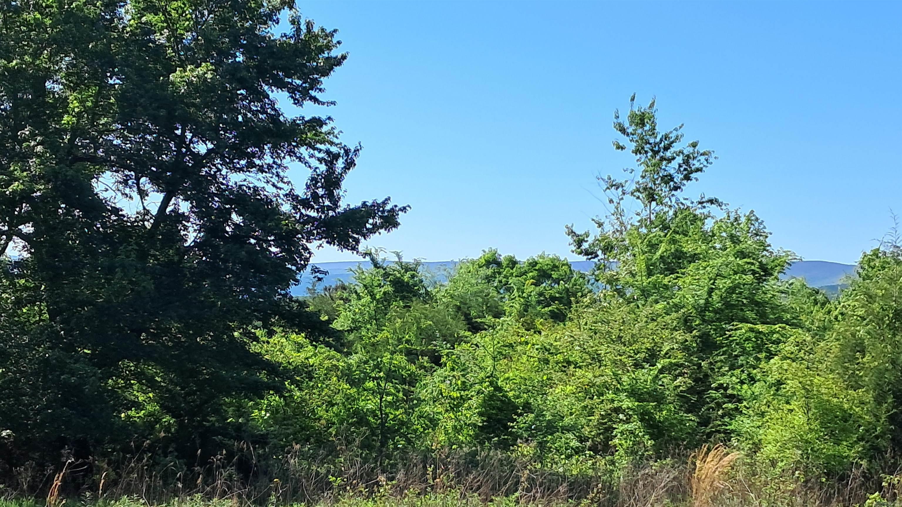 160 POLK ROAD 47  Mena, AR