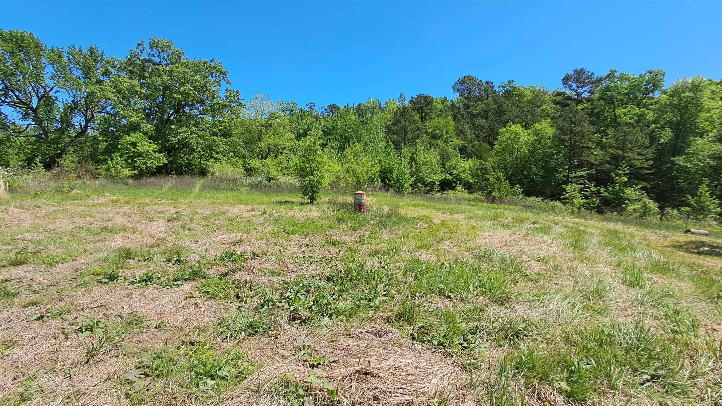 160 POLK ROAD 47  Mena, AR