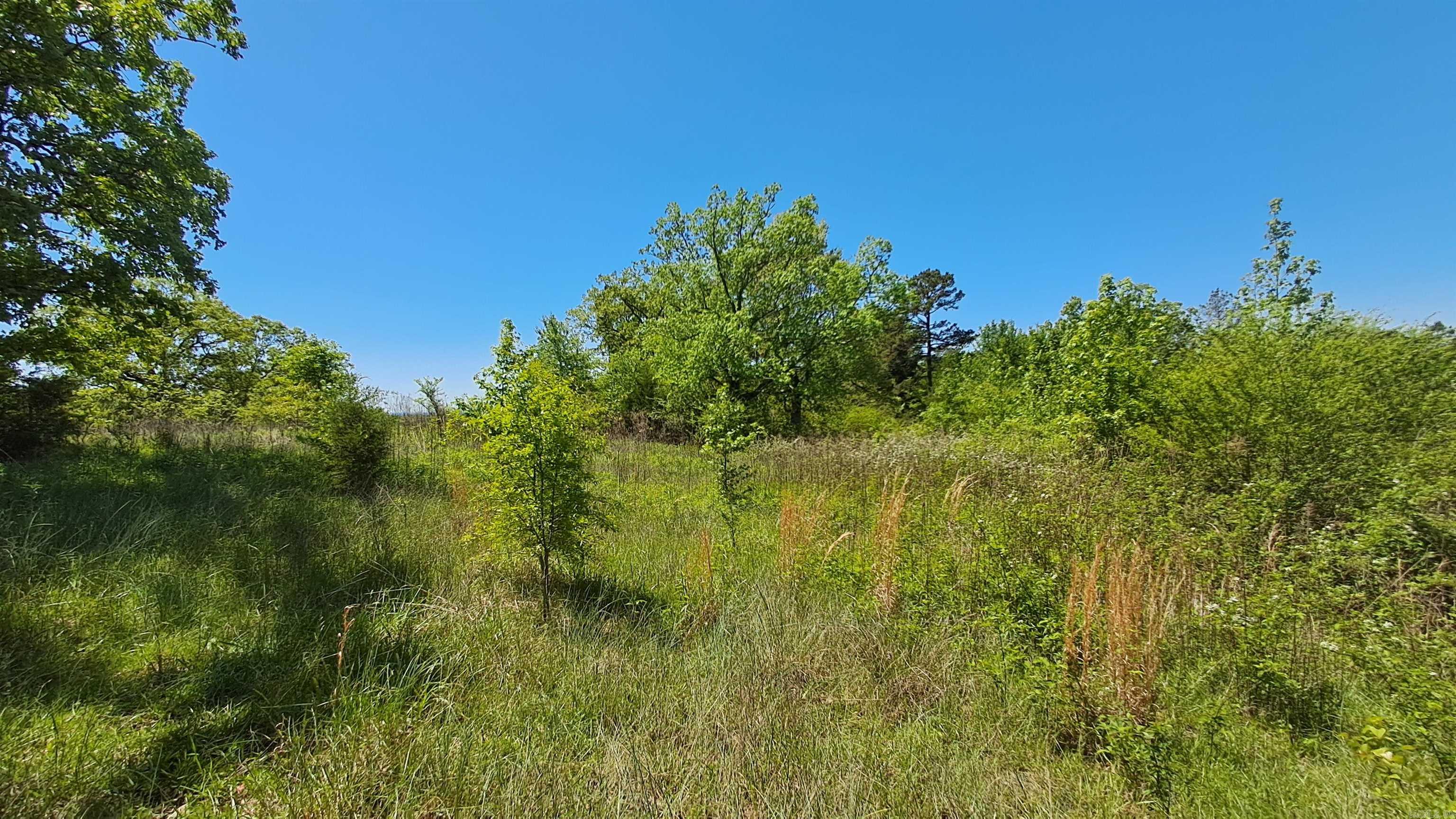 160 POLK ROAD 47  Mena, AR