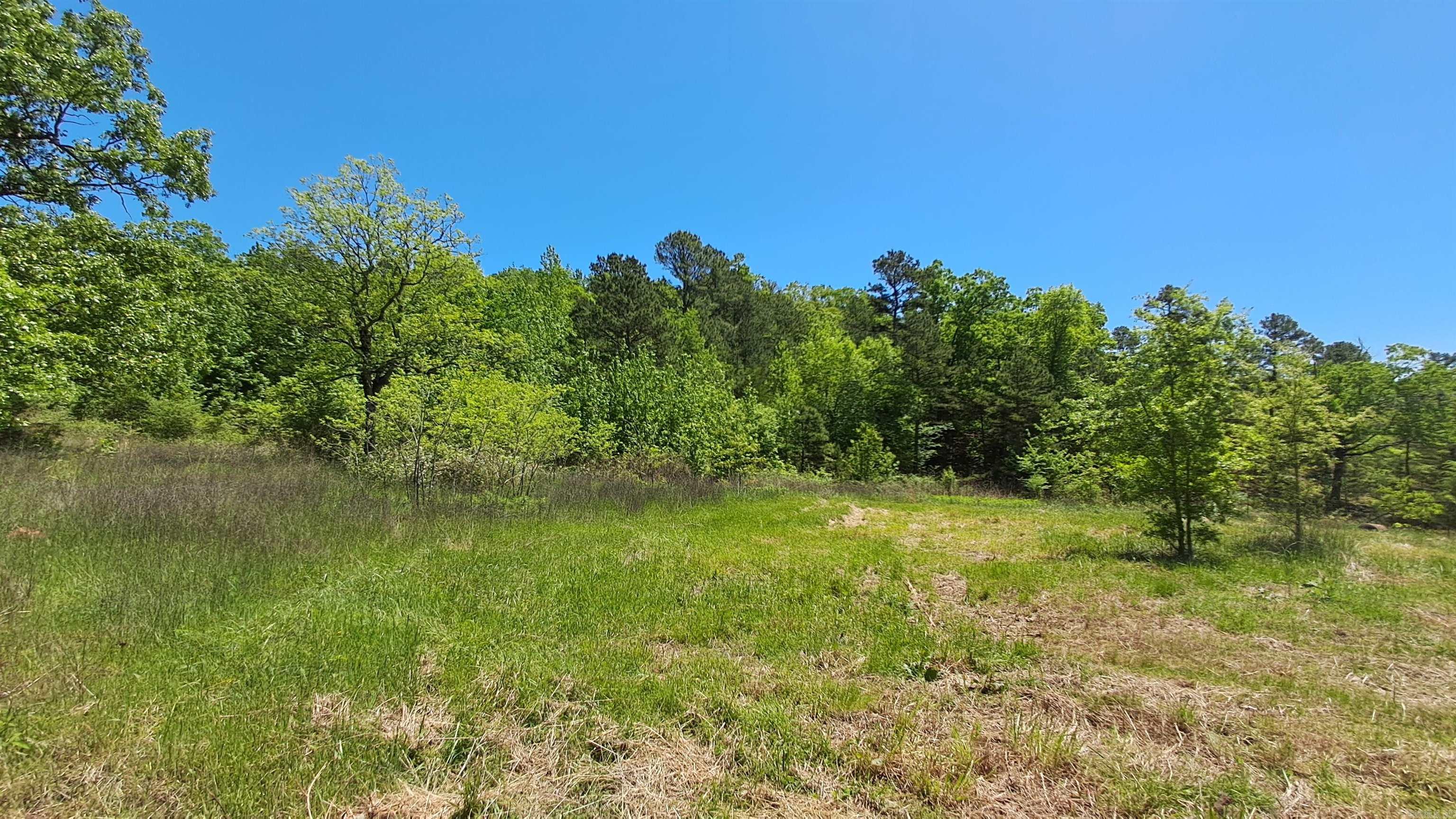 160 POLK ROAD 47  Mena, AR