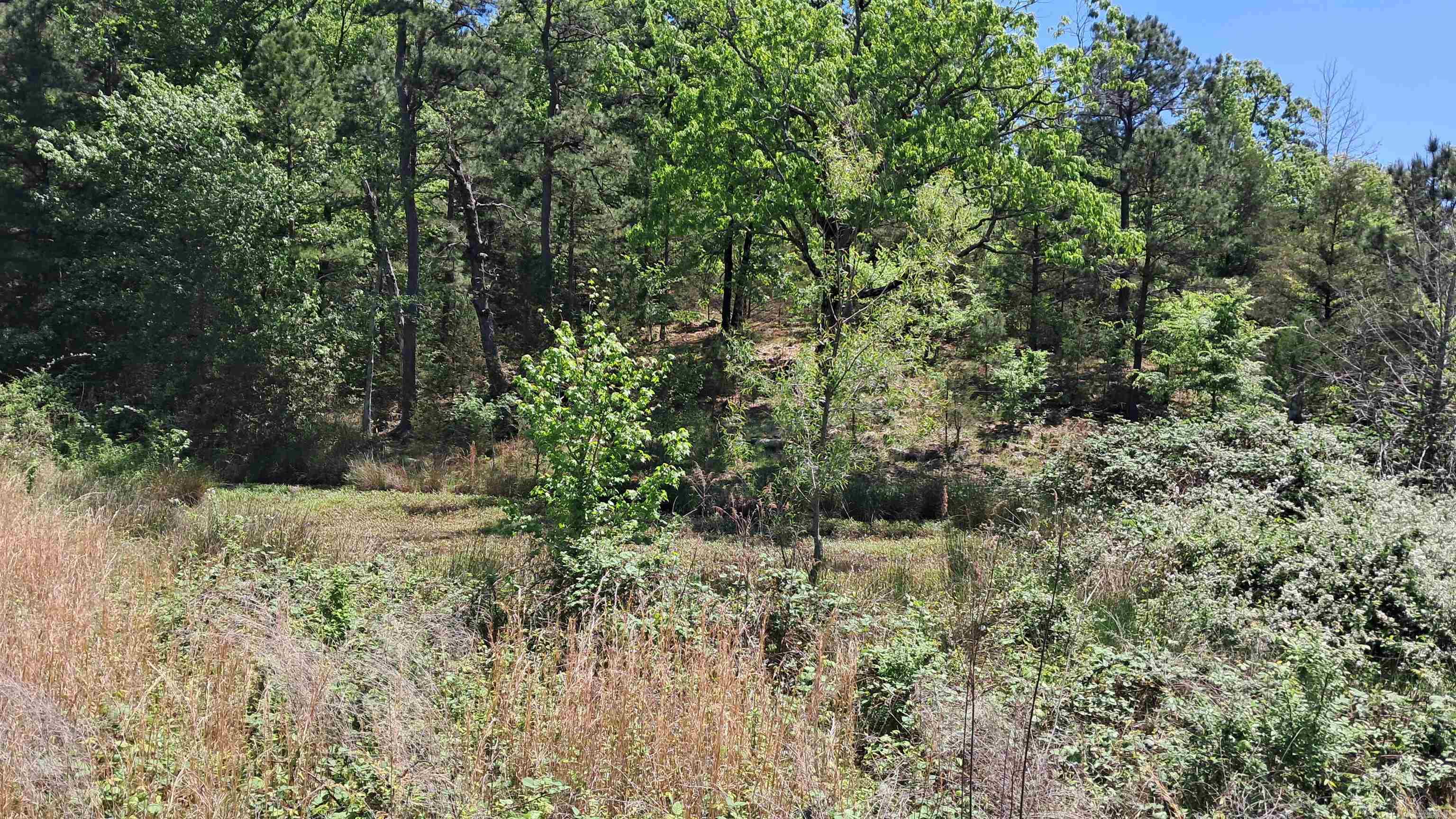 160 POLK ROAD 47  Mena, AR