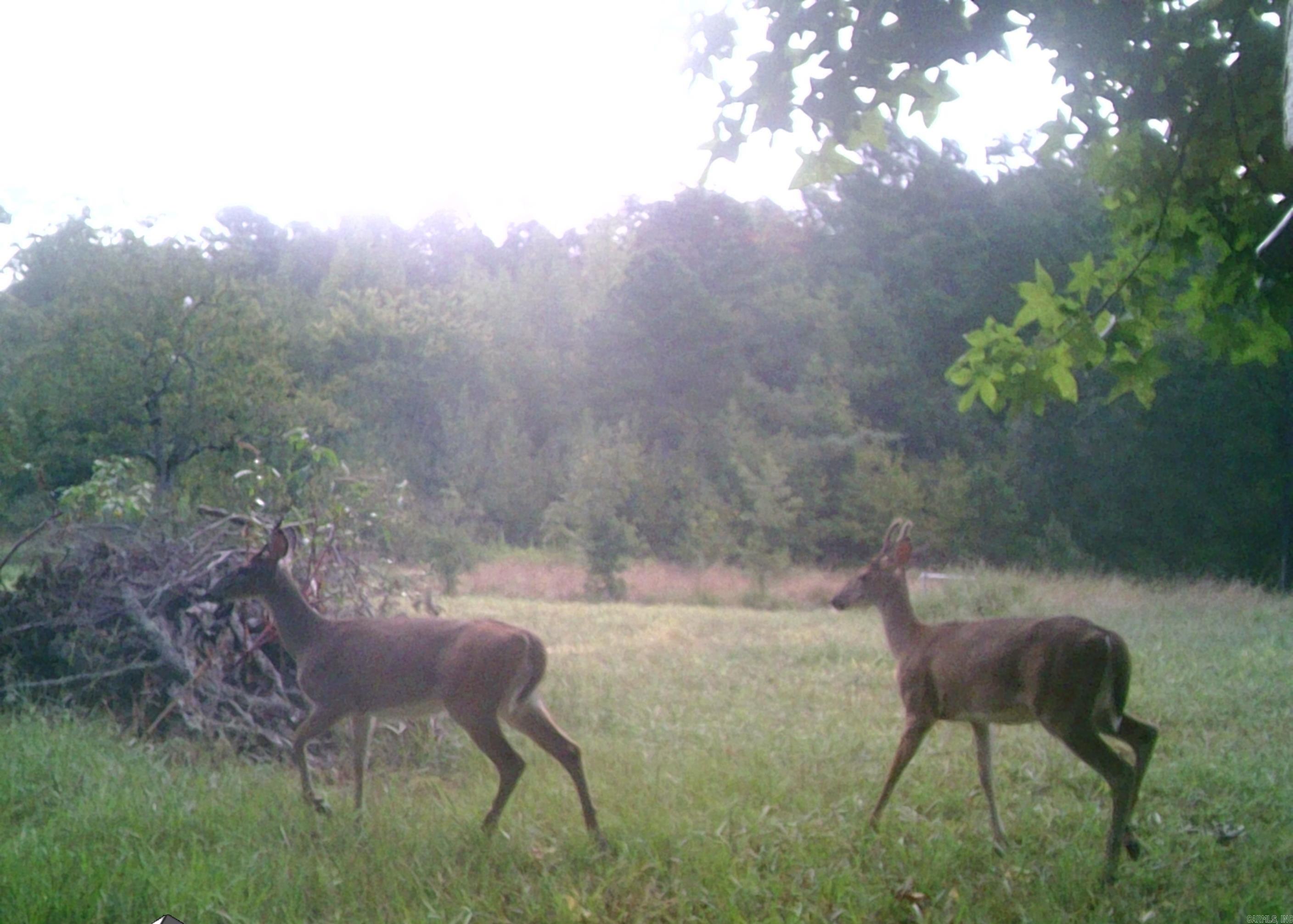 160 POLK ROAD 47  Mena, AR