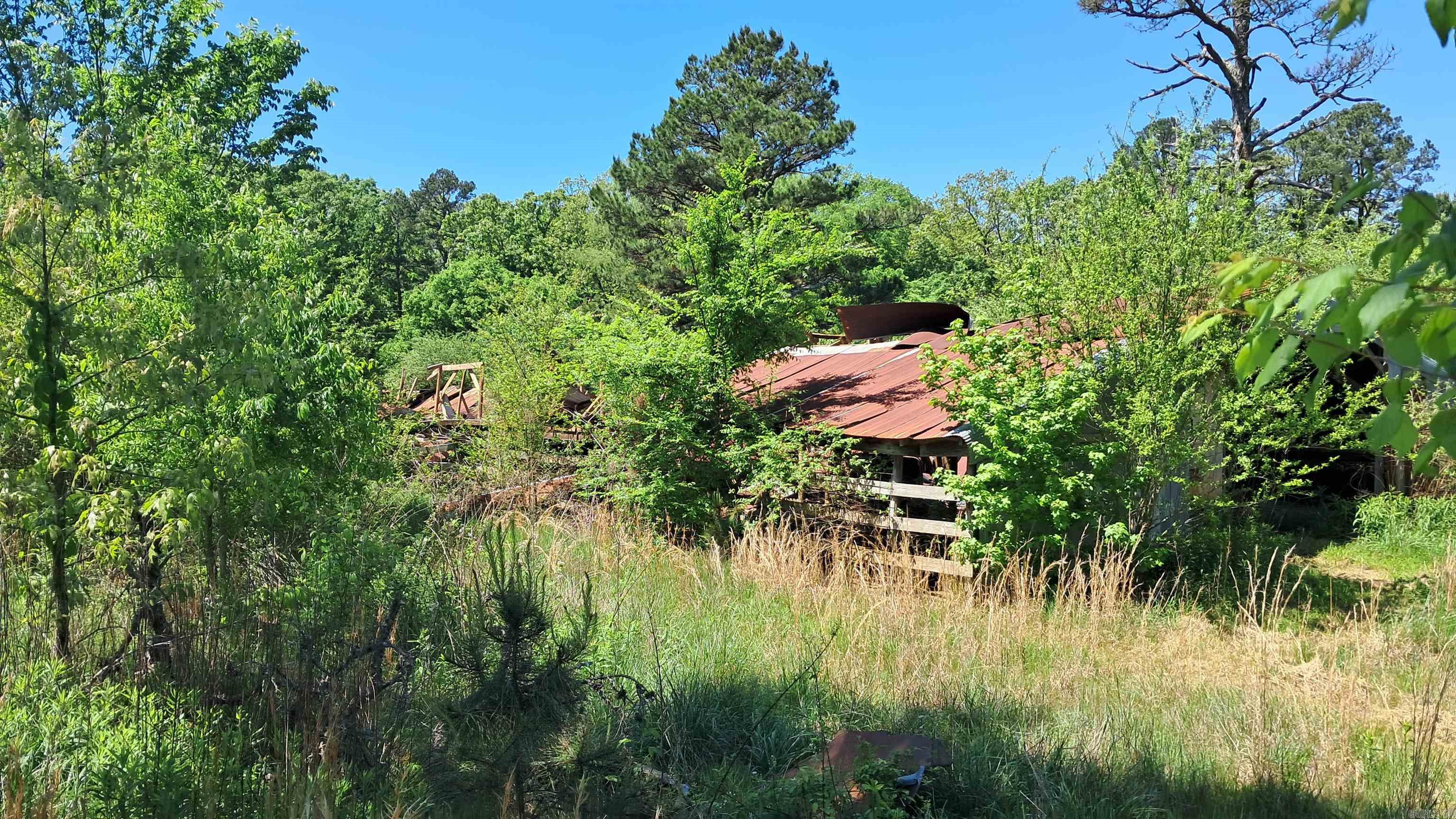 160 POLK ROAD 47  Mena, AR