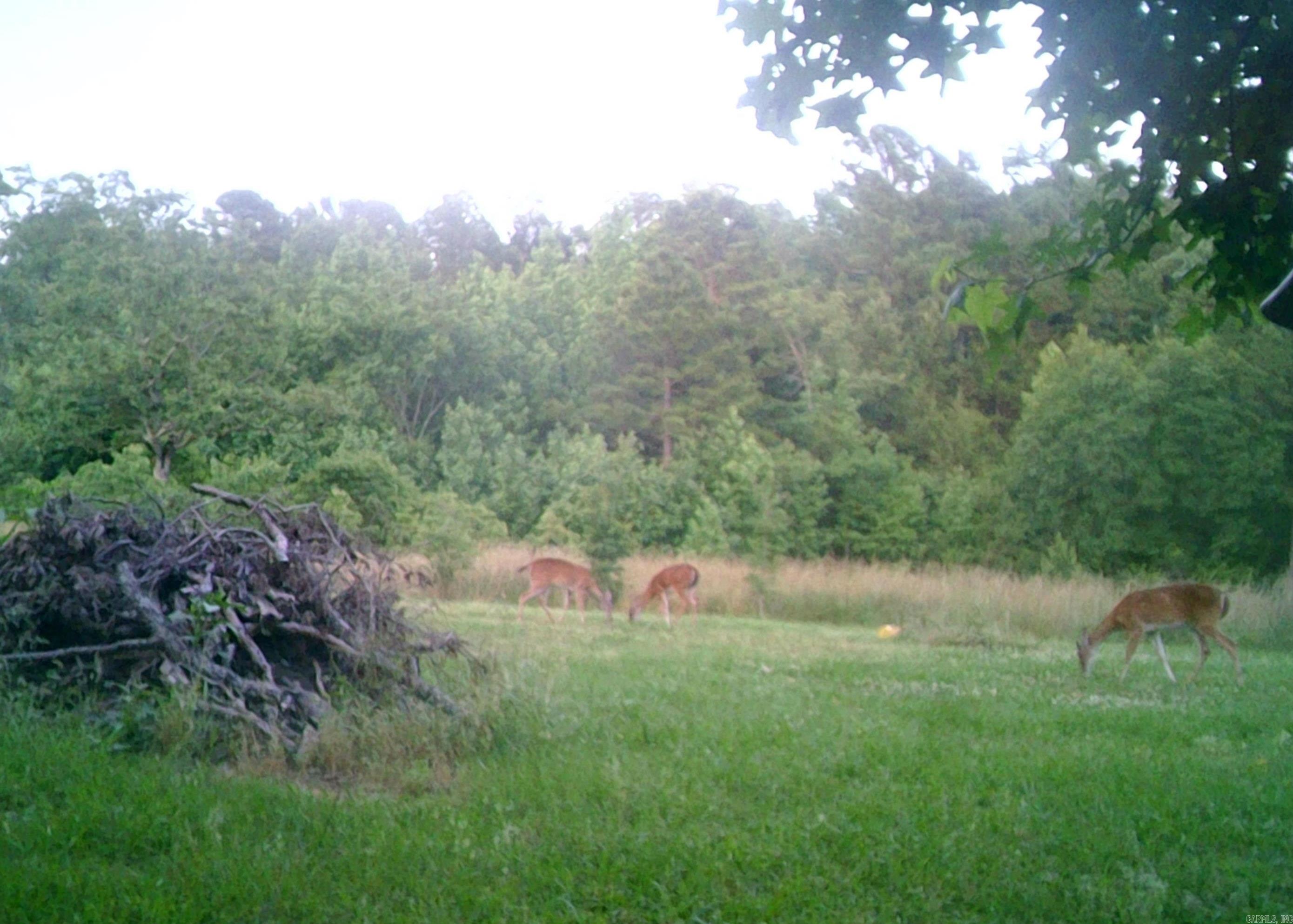 160 POLK ROAD 47  Mena, AR