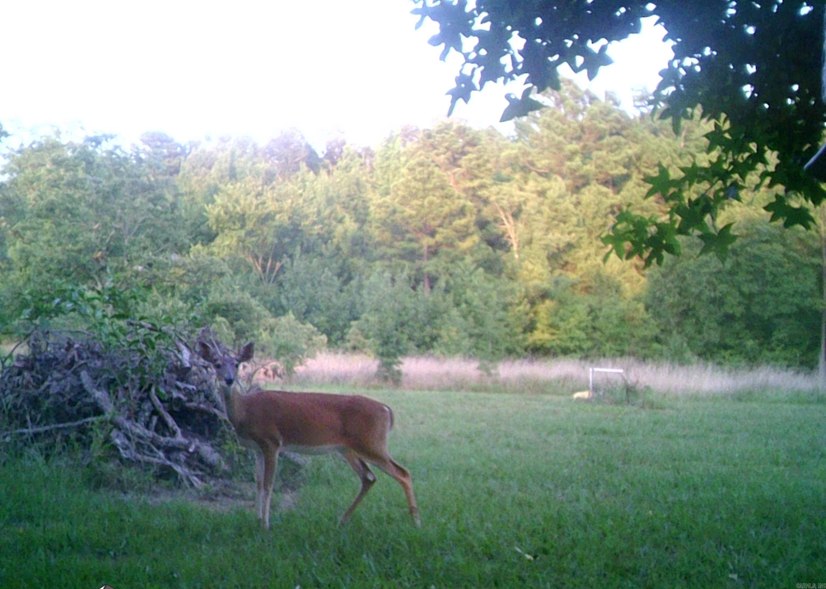 160 POLK ROAD 47  Mena, AR