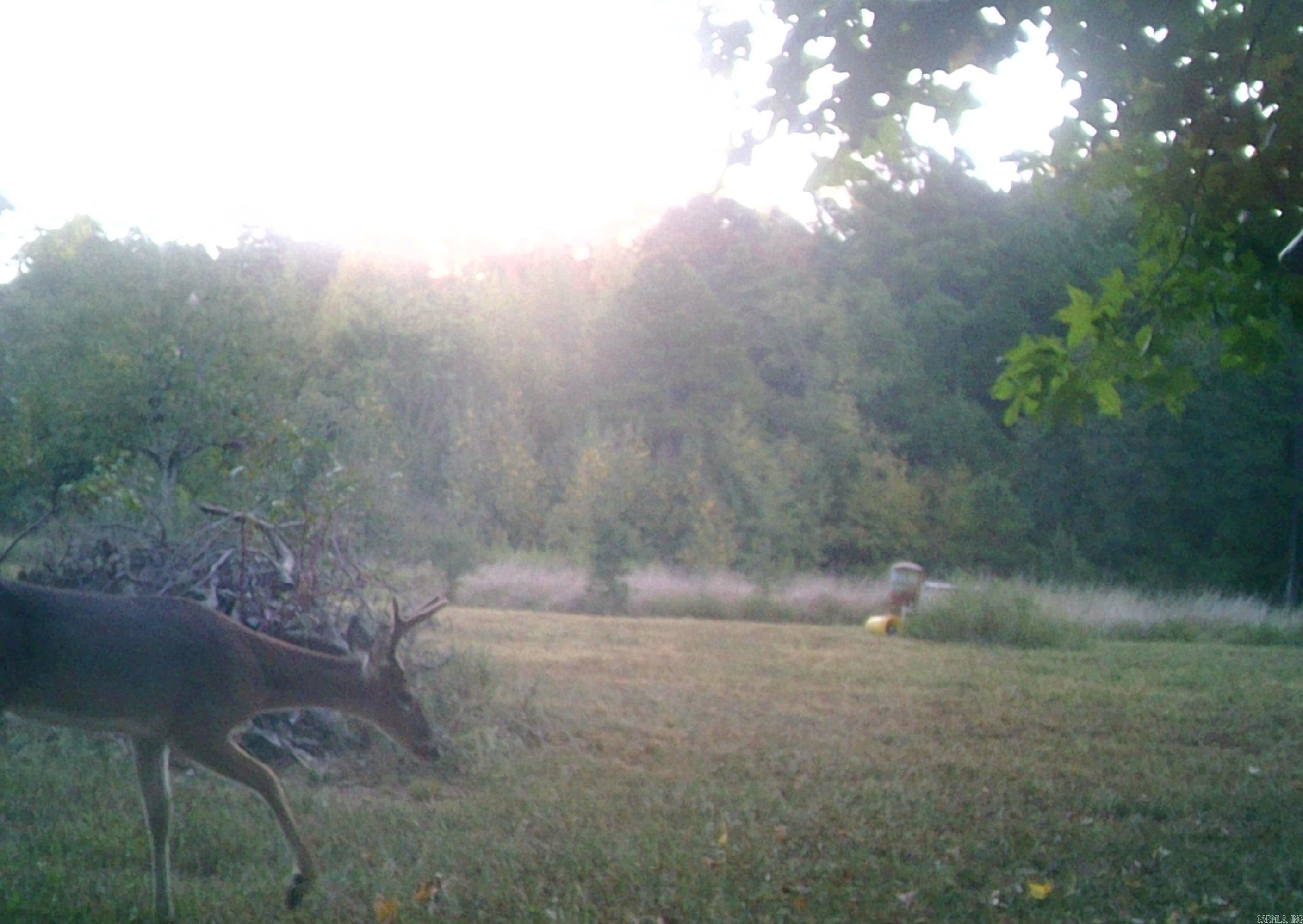 160 POLK ROAD 47  Mena, AR