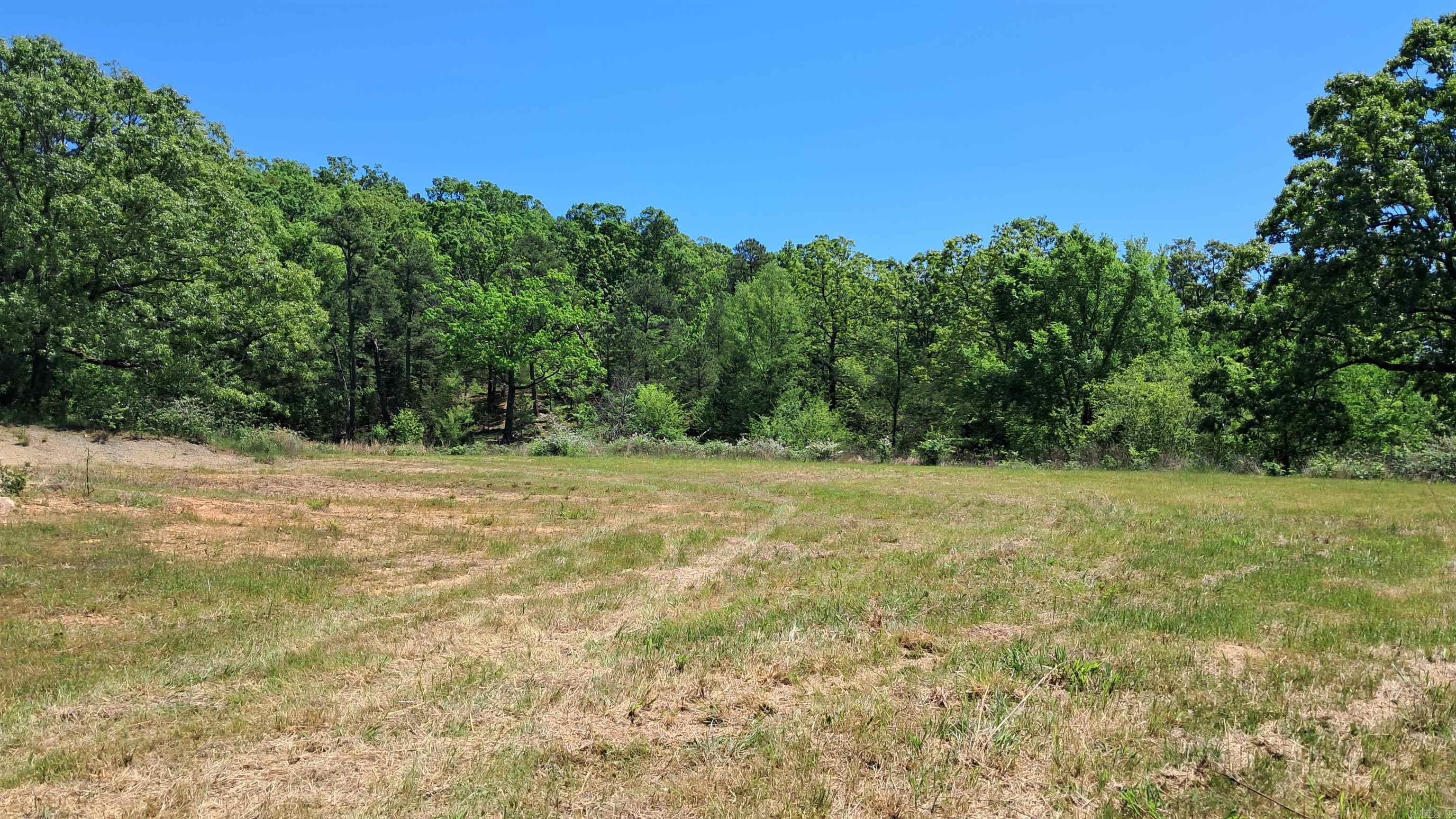 160 POLK ROAD 47  Mena, AR