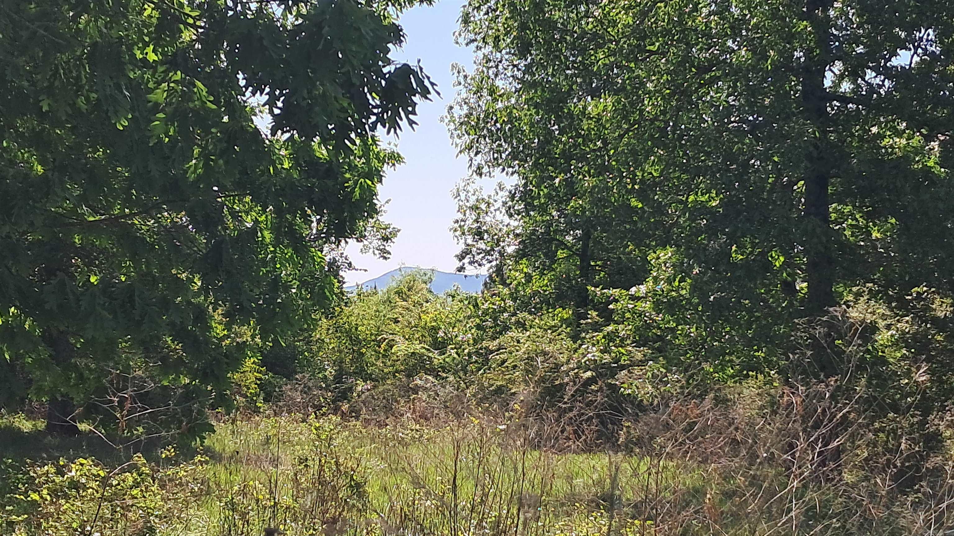 160 POLK ROAD 47  Mena, AR