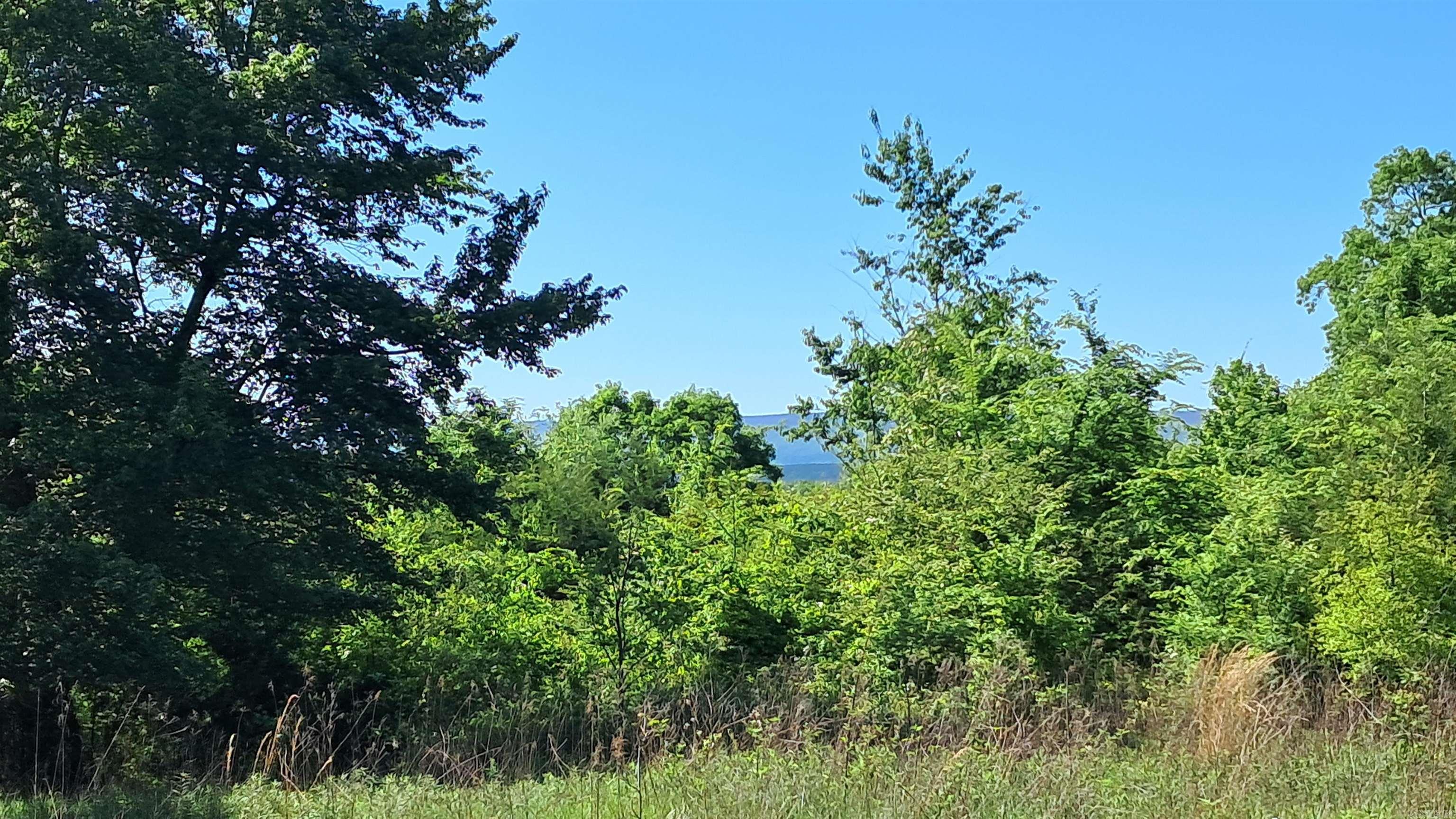 160 POLK ROAD 47  Mena, AR