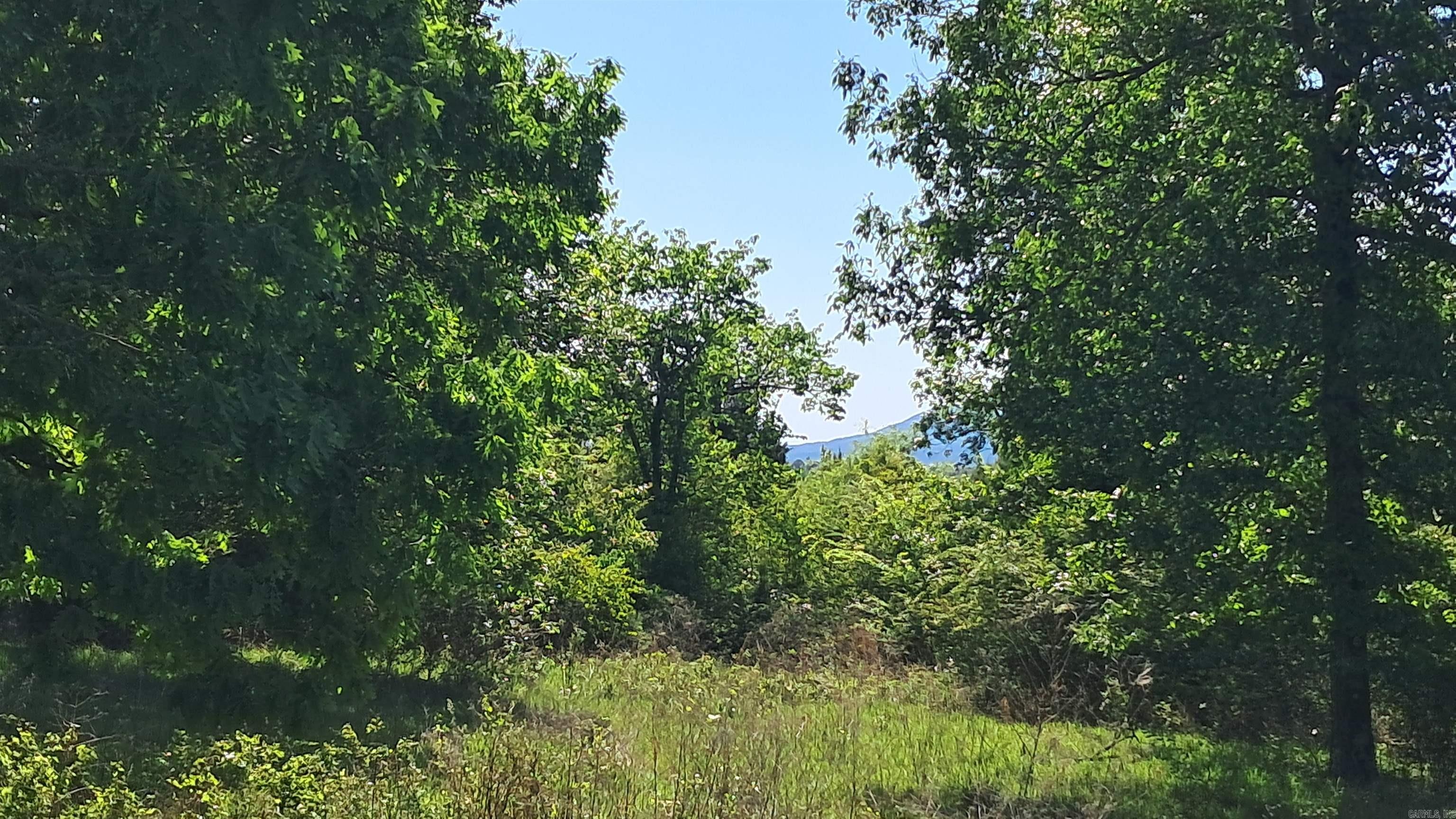 160 POLK ROAD 47  Mena, AR