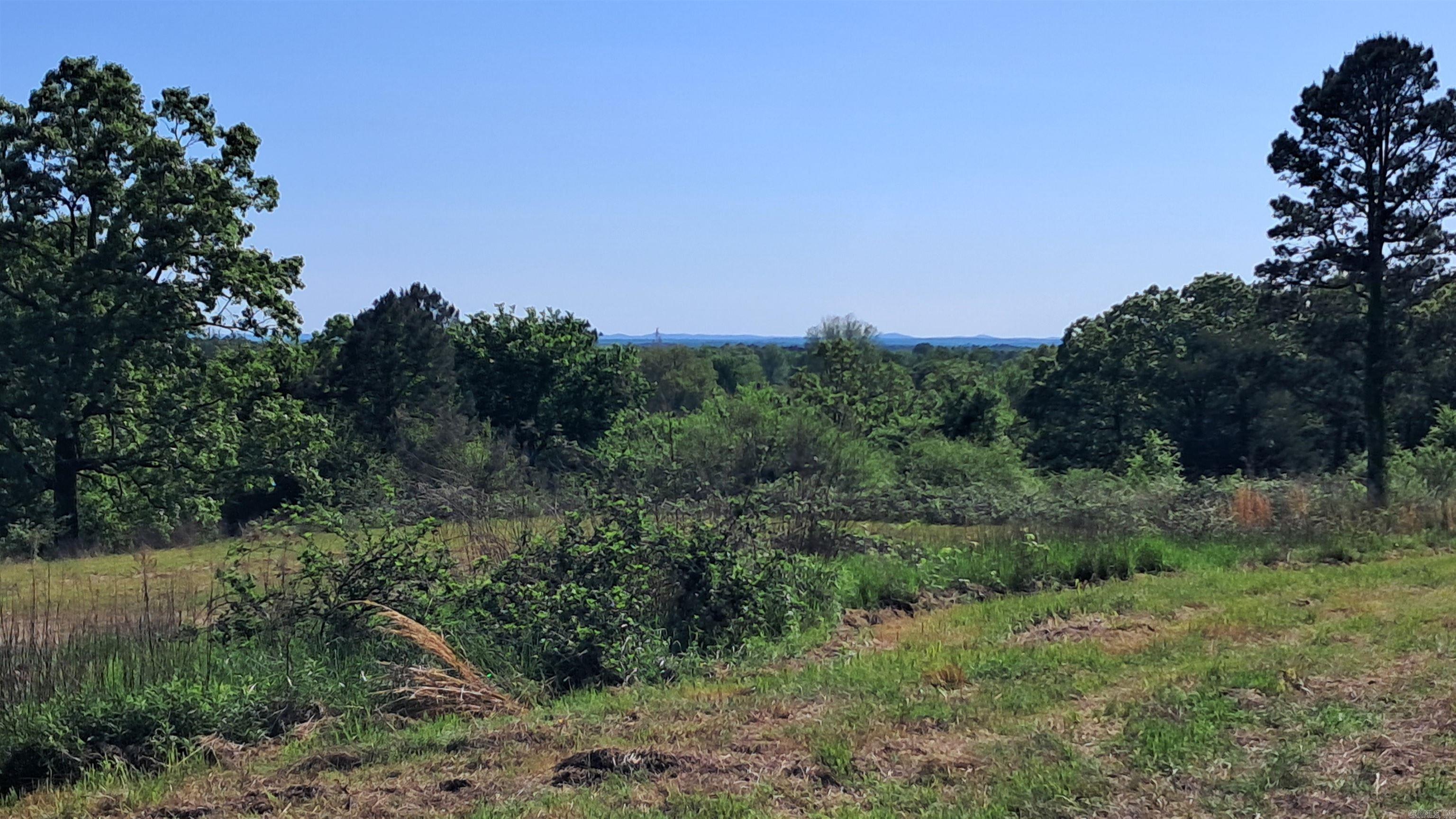 160 POLK ROAD 47  Mena, AR