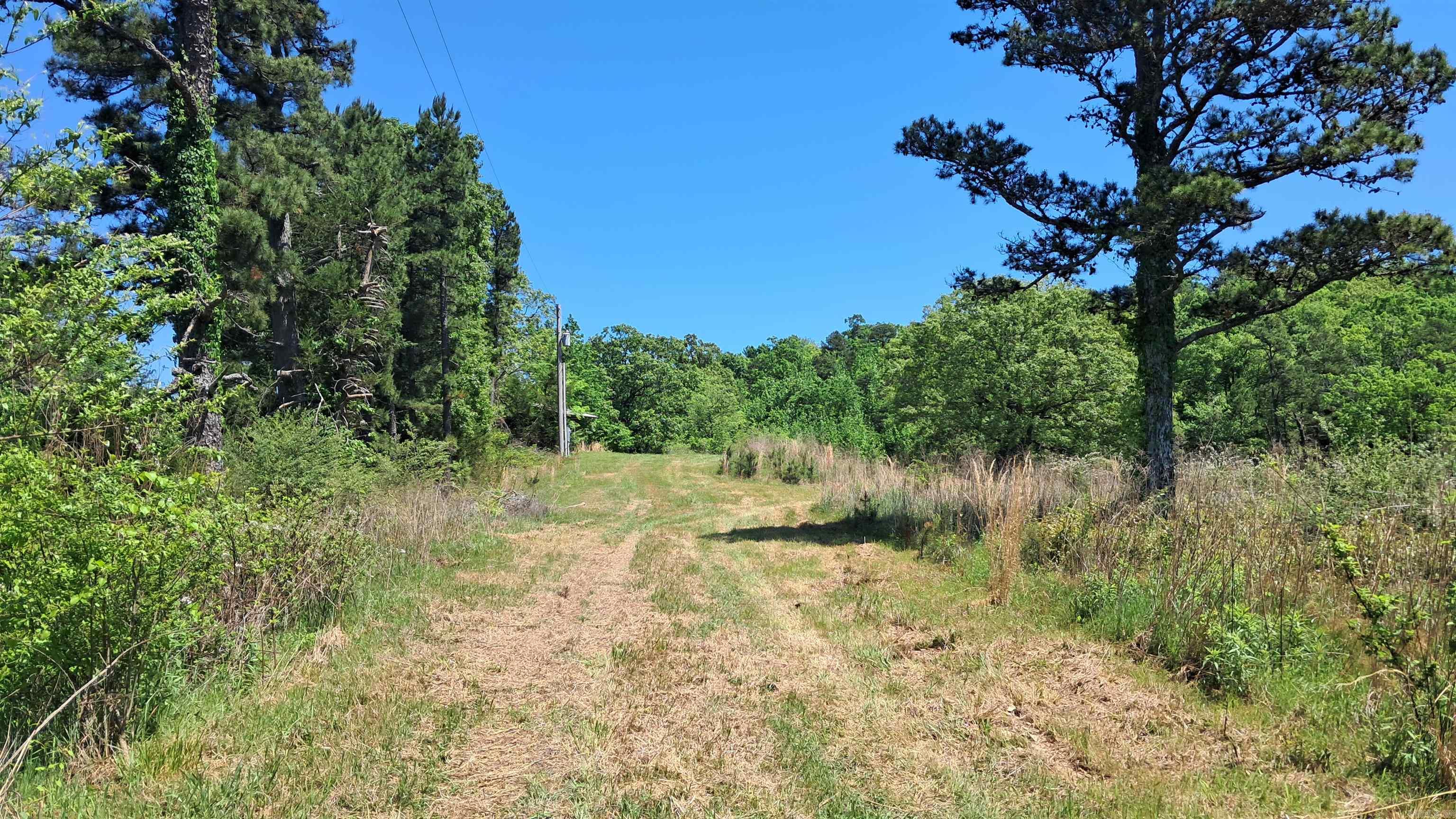 160 POLK ROAD 47  Mena, AR