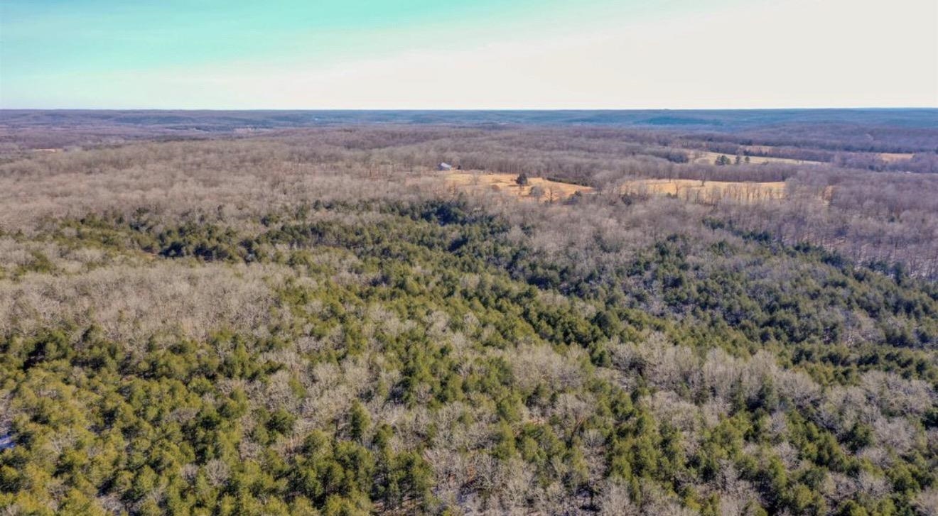 TBD Lot 21 Fawn Ridge  Williford, AR