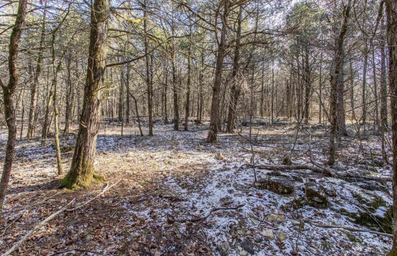 TBD Lot 21 Fawn Ridge  Williford, AR