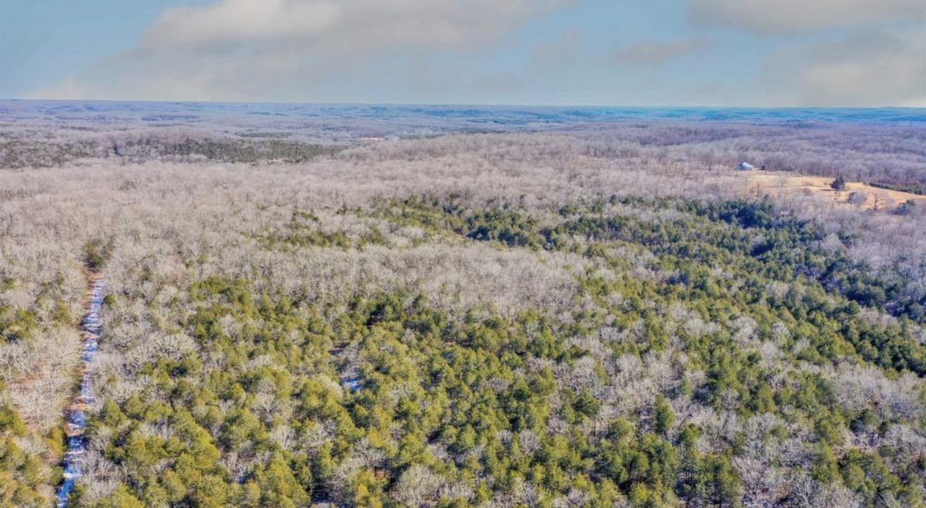 TBD Lot 21 Fawn Ridge  Williford, AR