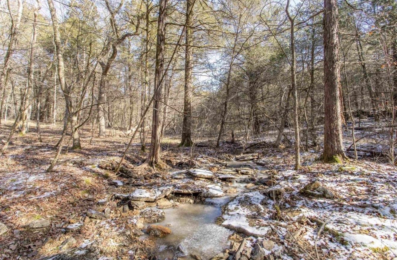 TBD Lot 21 Fawn Ridge  Williford, AR