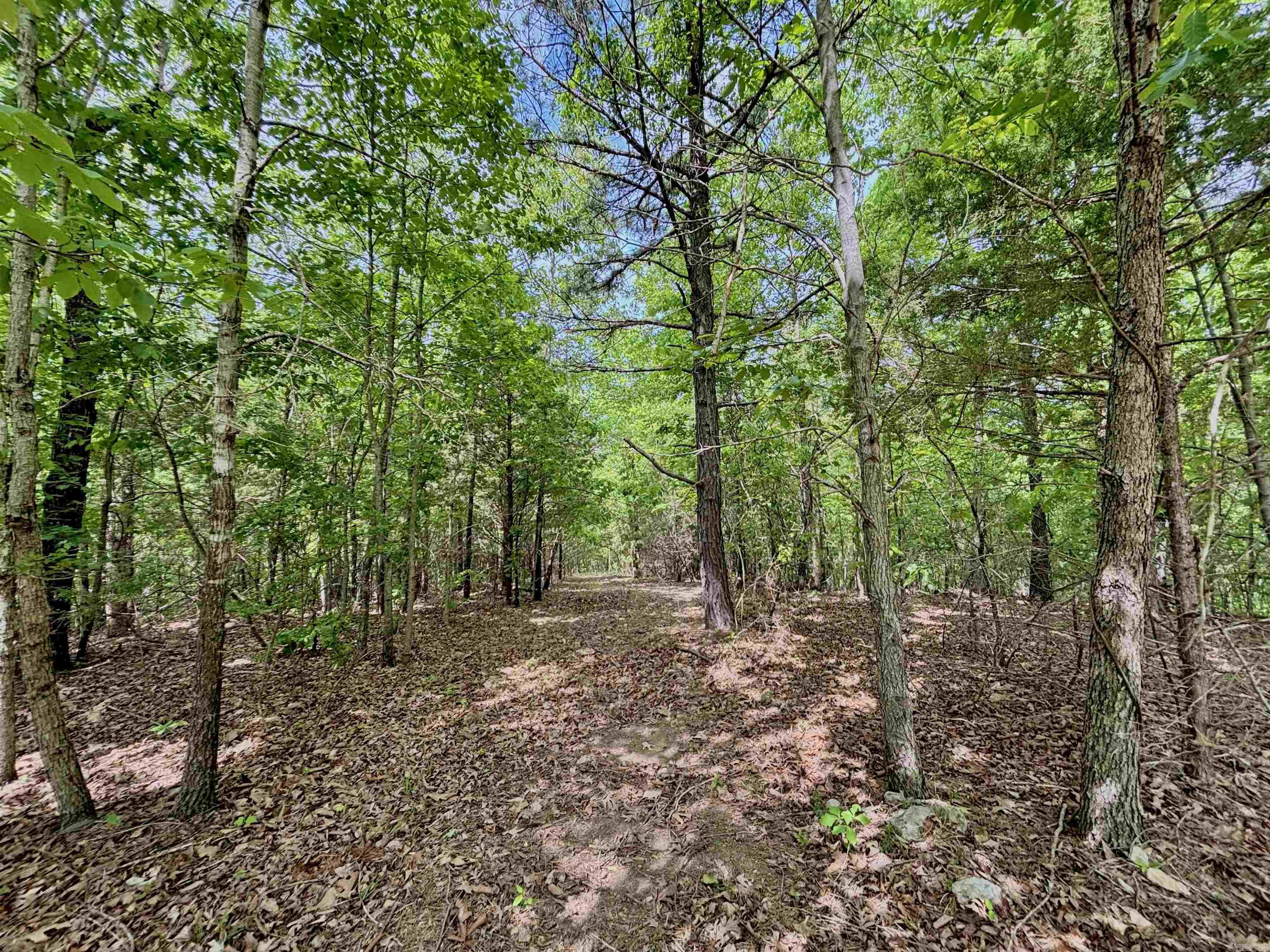 751 Mingues Turner Ln  Mountain View, AR