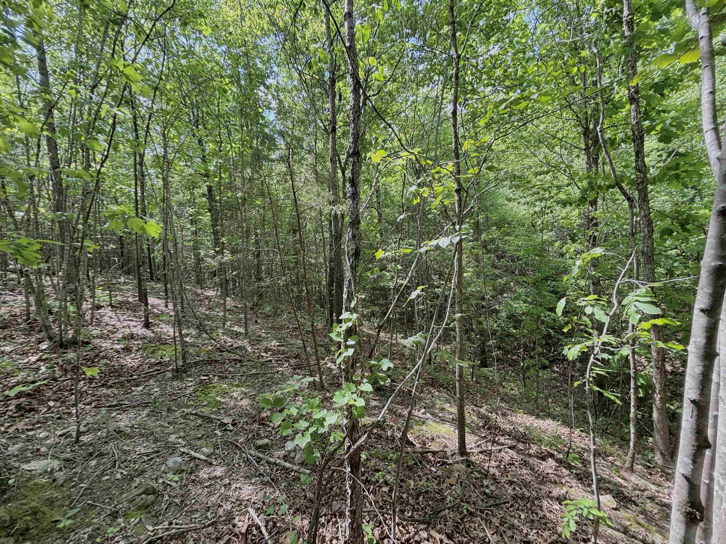 751 Mingues Turner Ln  Mountain View, AR