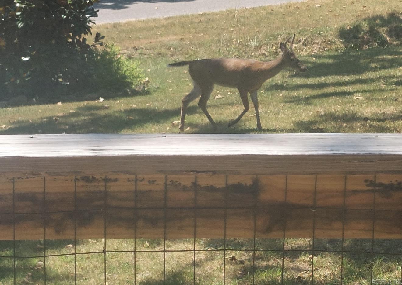 208 Fairway Dr  Horseshoe Bend, AR