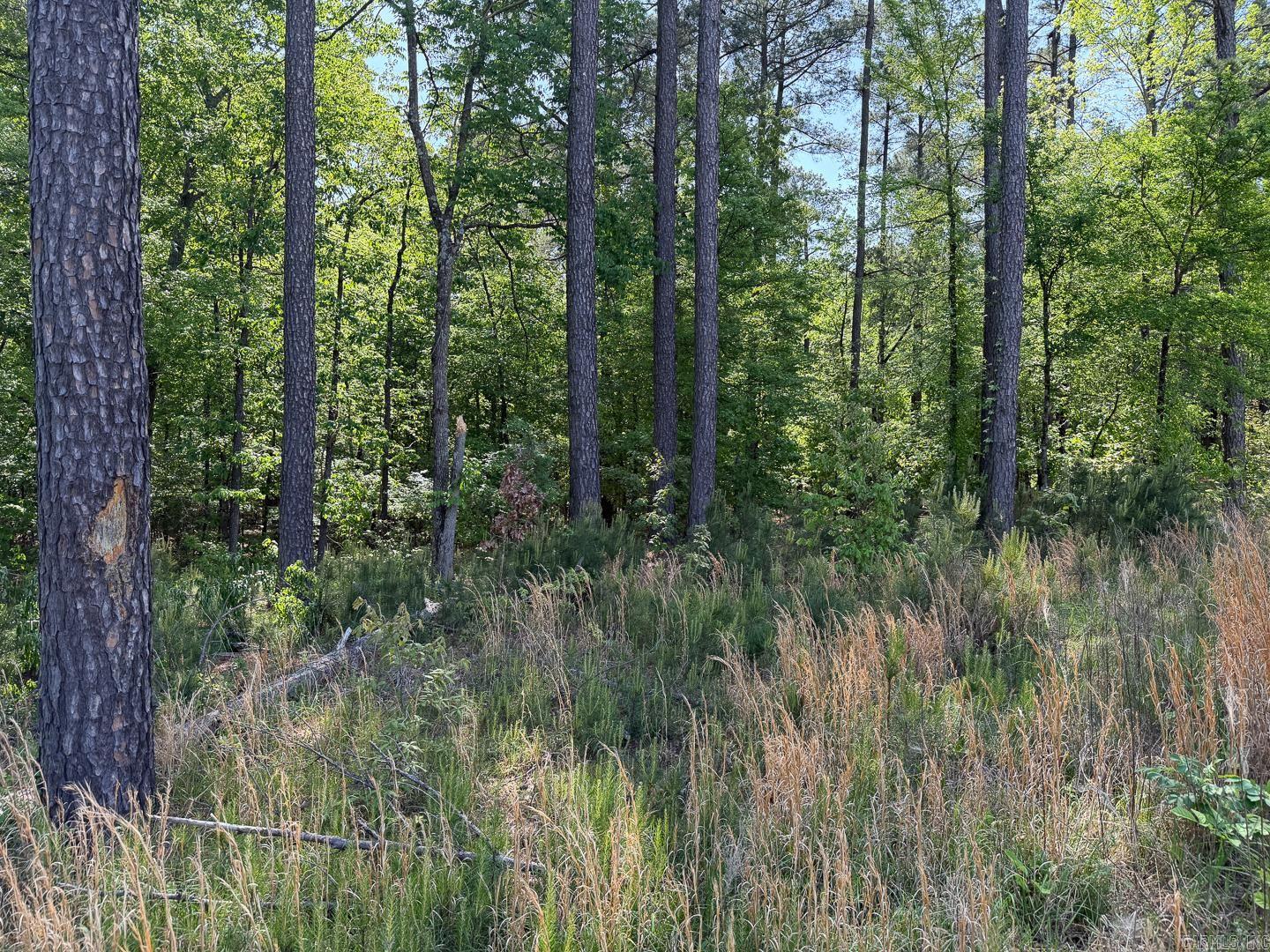 192 CR 1087  Jonesboro, AR