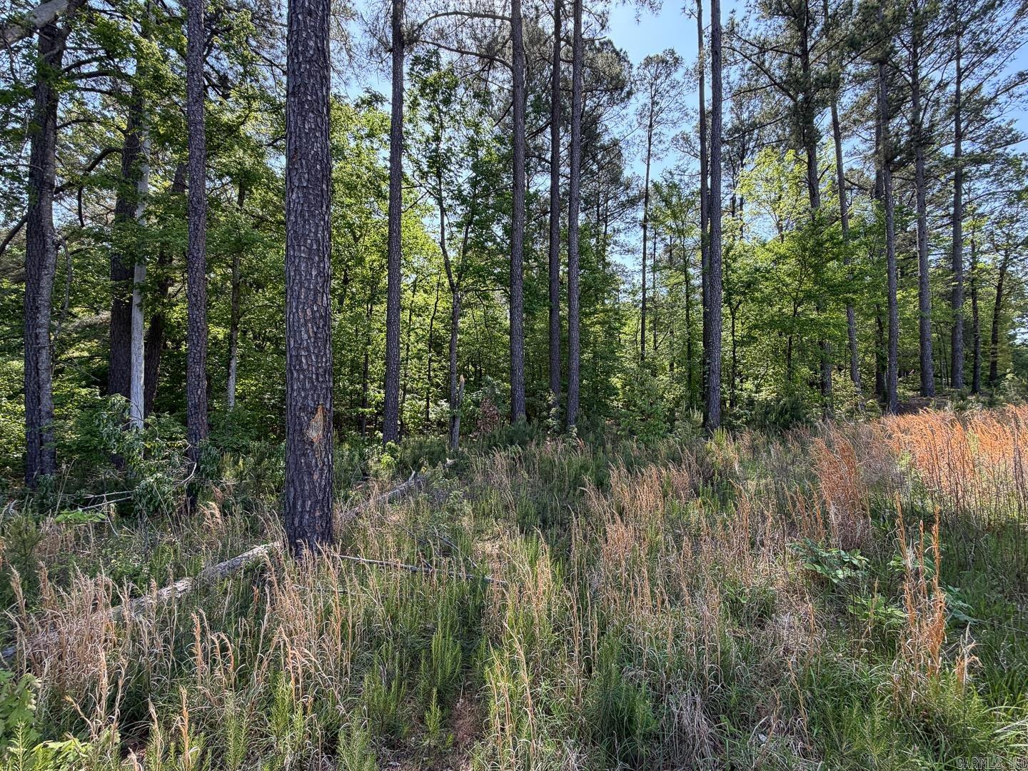 192 CR 1087  Jonesboro, AR