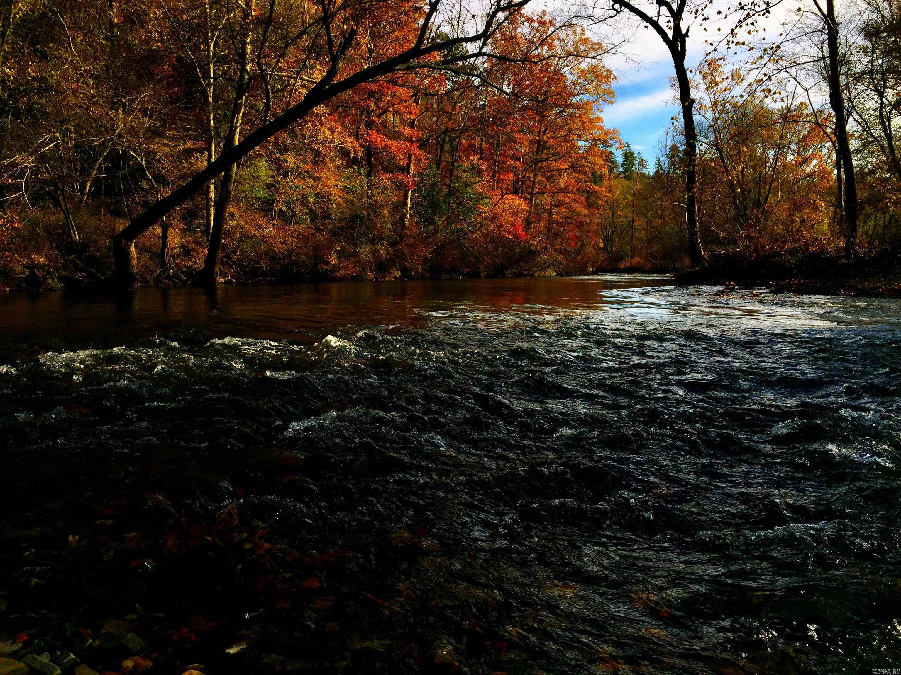 9 Halago  Hot Springs Village, AR