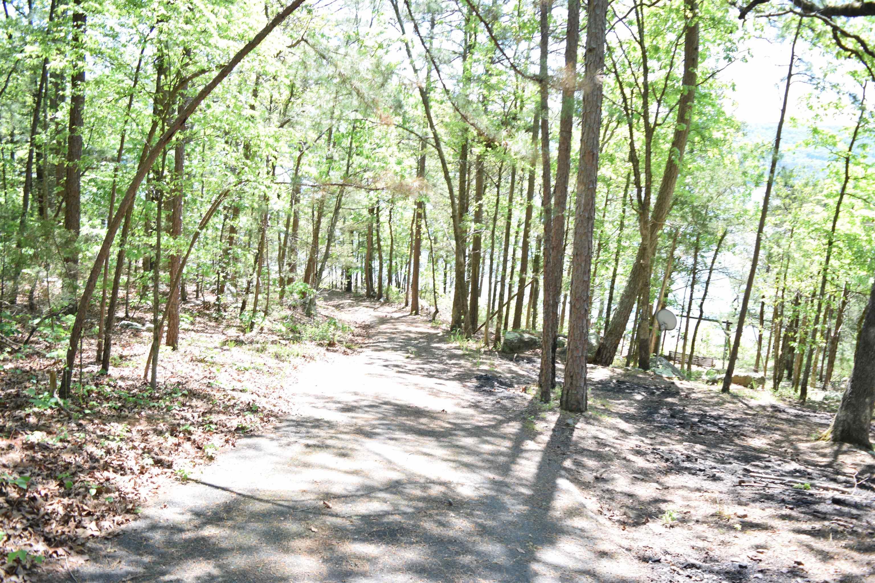 554 Emerald Cove  Shirley, AR