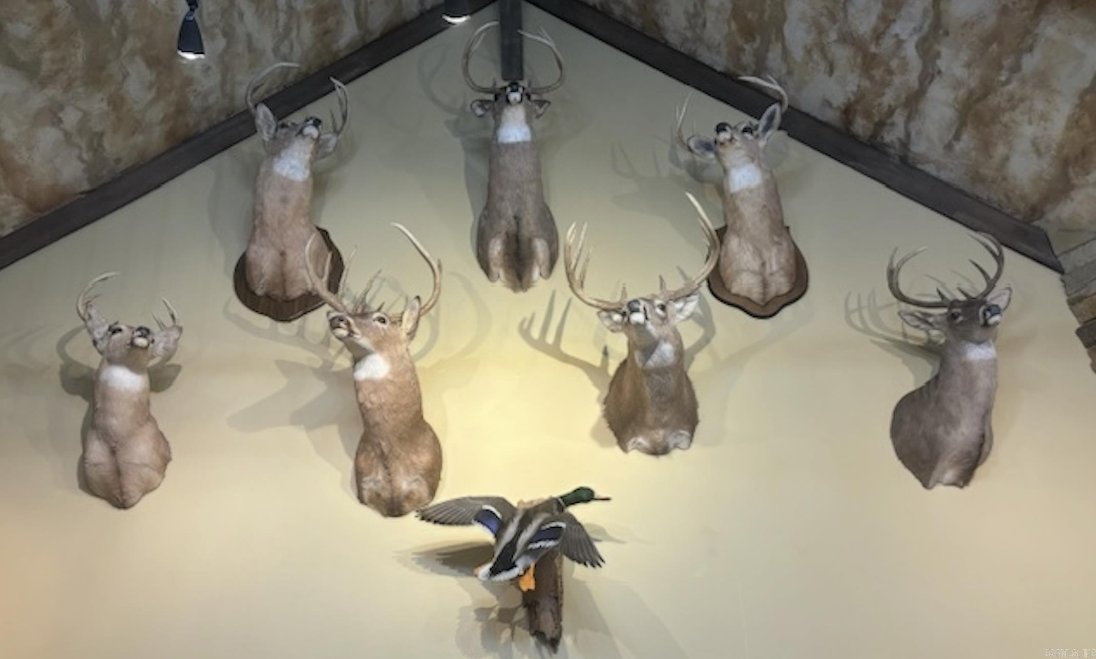 201 Morgan Loop Rd  DeWitt, AR