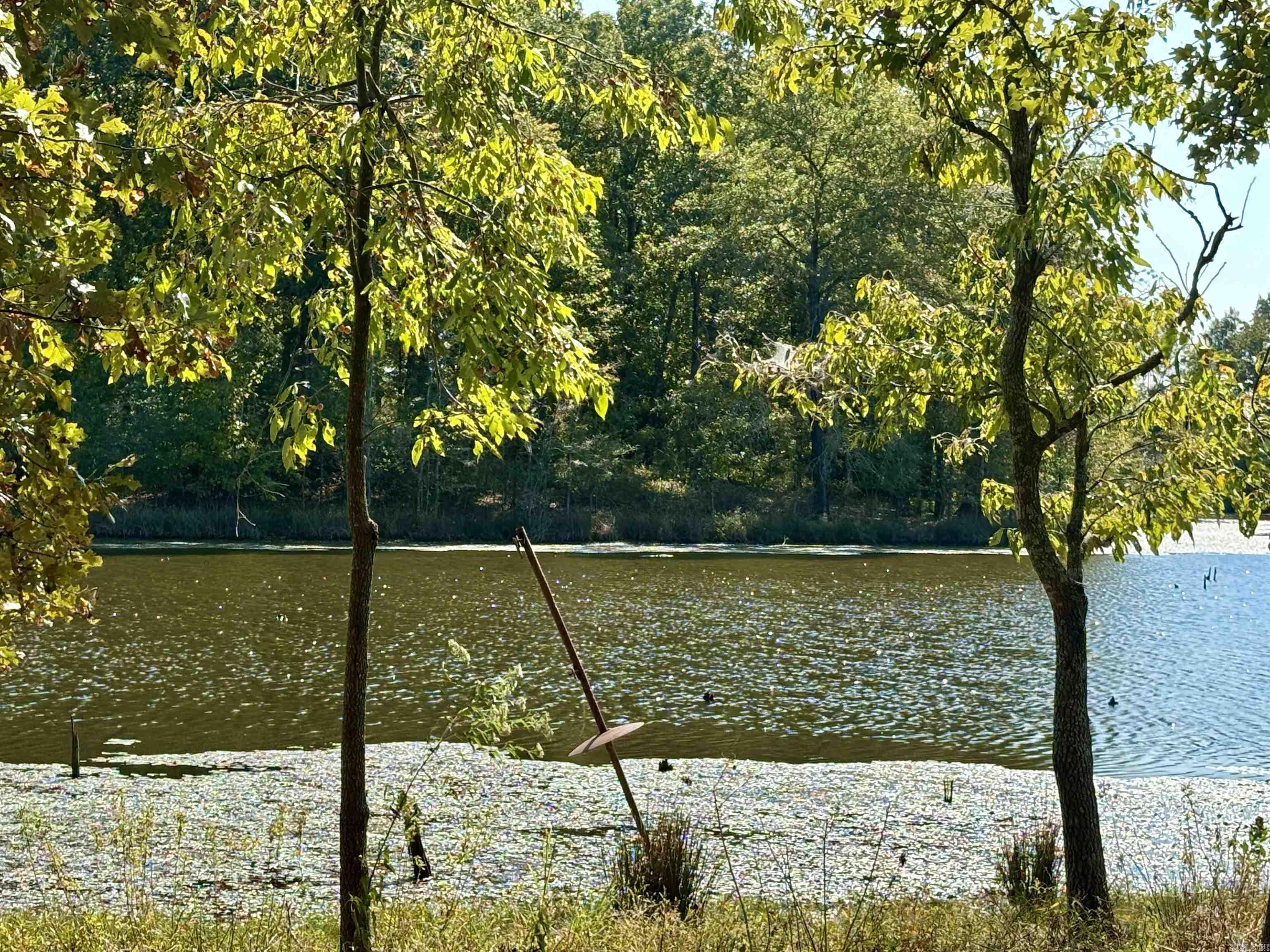 201 Morgan Loop Rd  DeWitt, AR