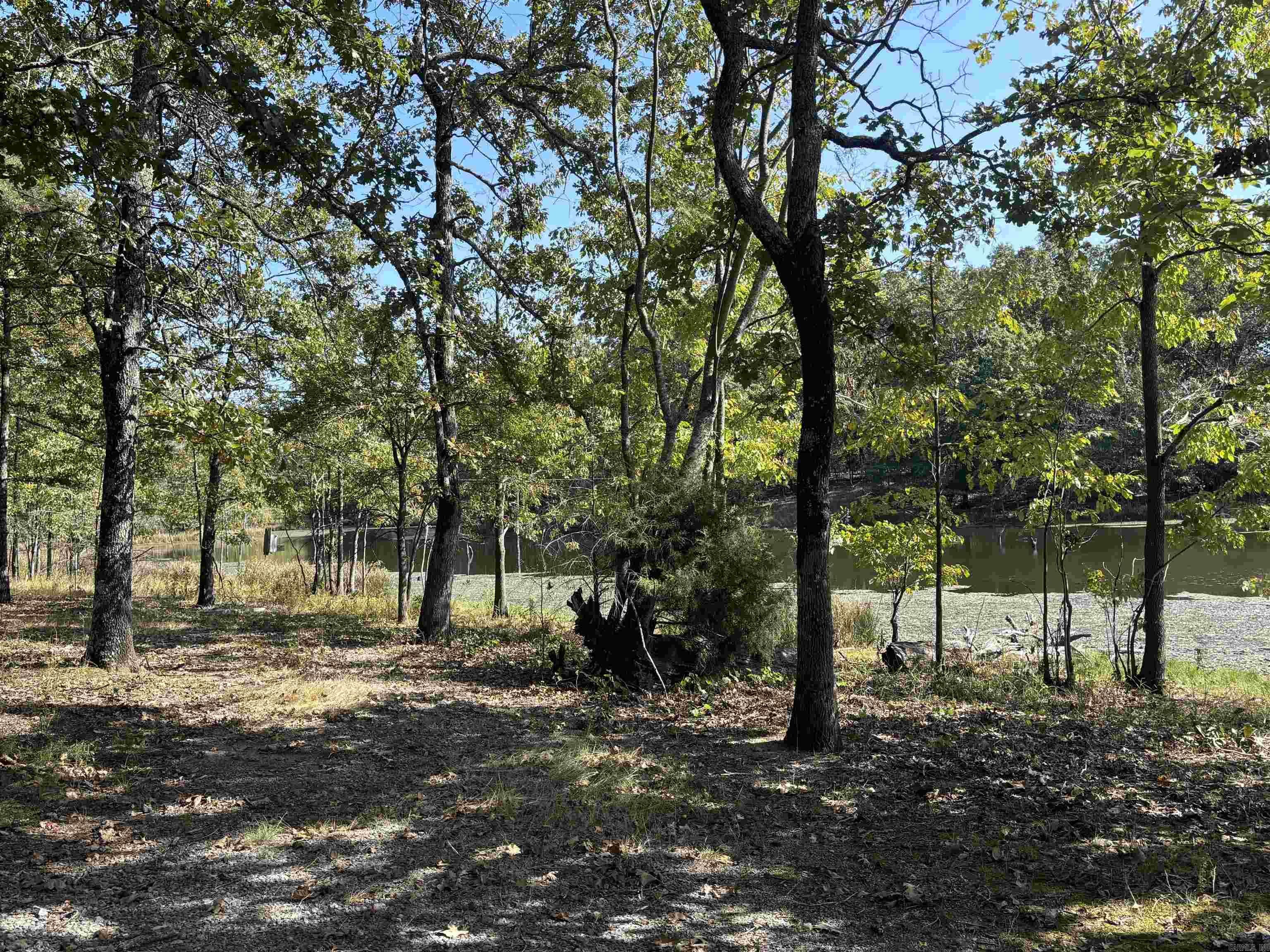 201 Morgan Loop Rd  DeWitt, AR