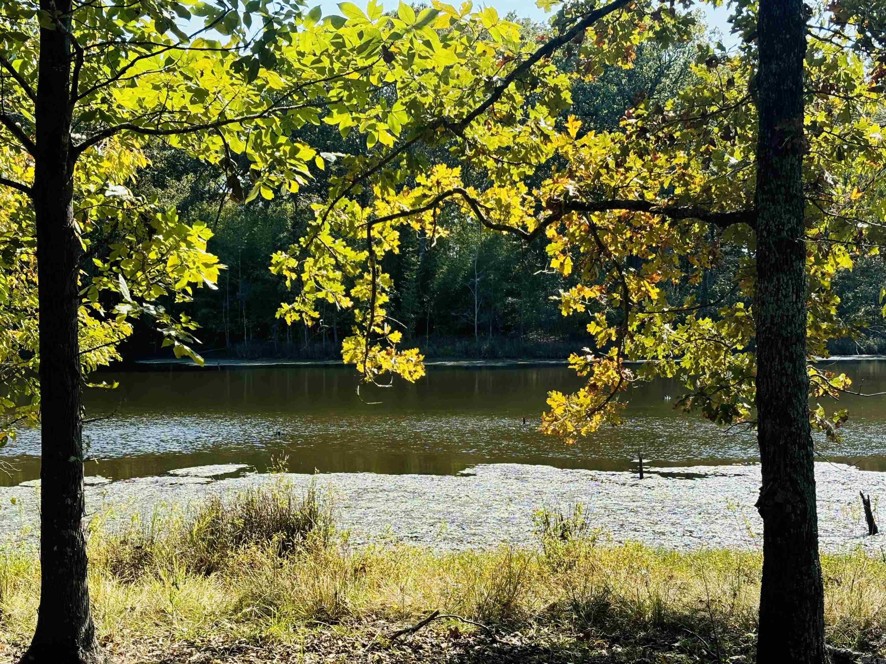 201 Morgan Loop Rd  DeWitt, AR