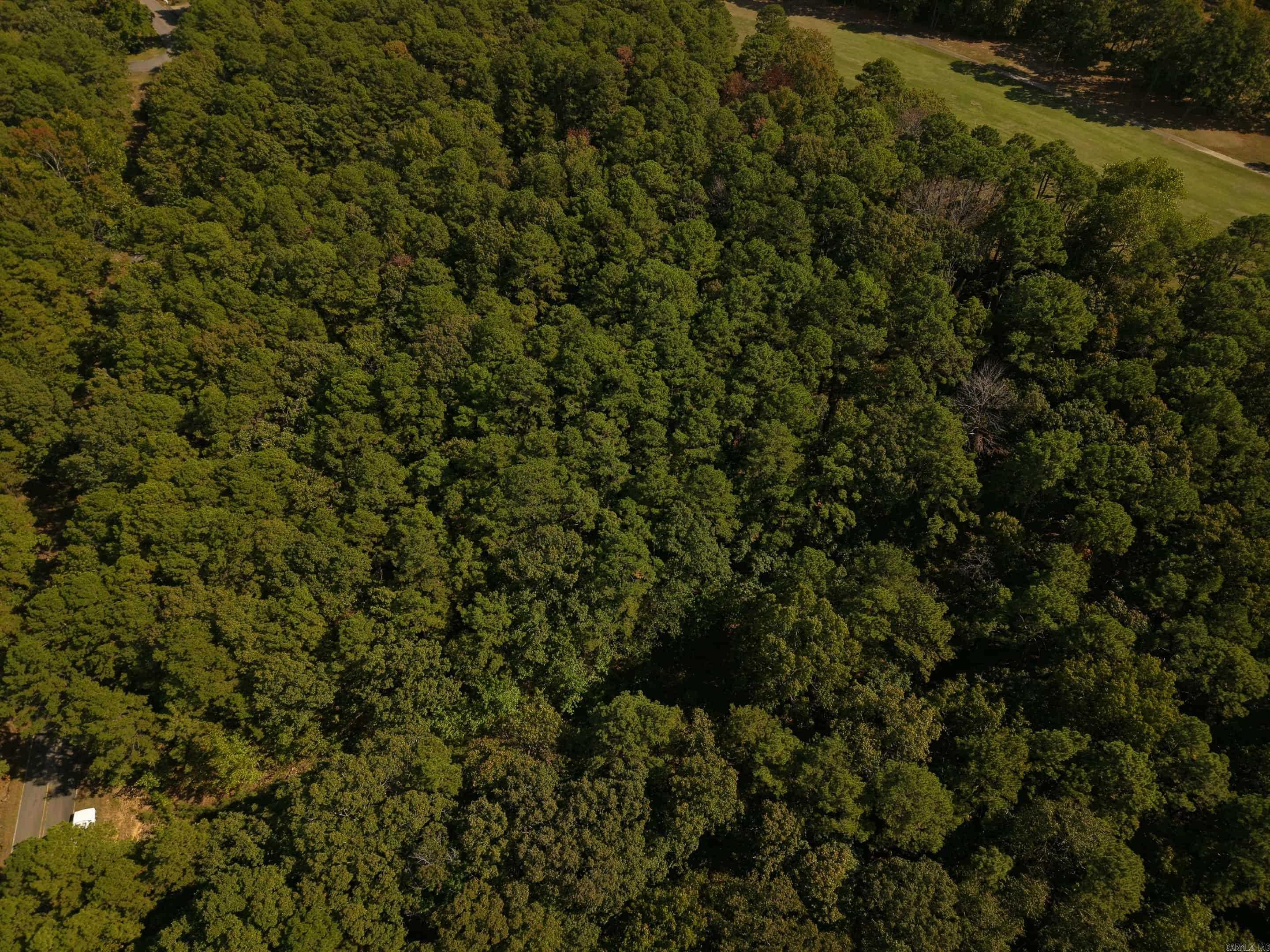 +/-.26 Acres Rock Hill Ct  Fairfield Bay, AR