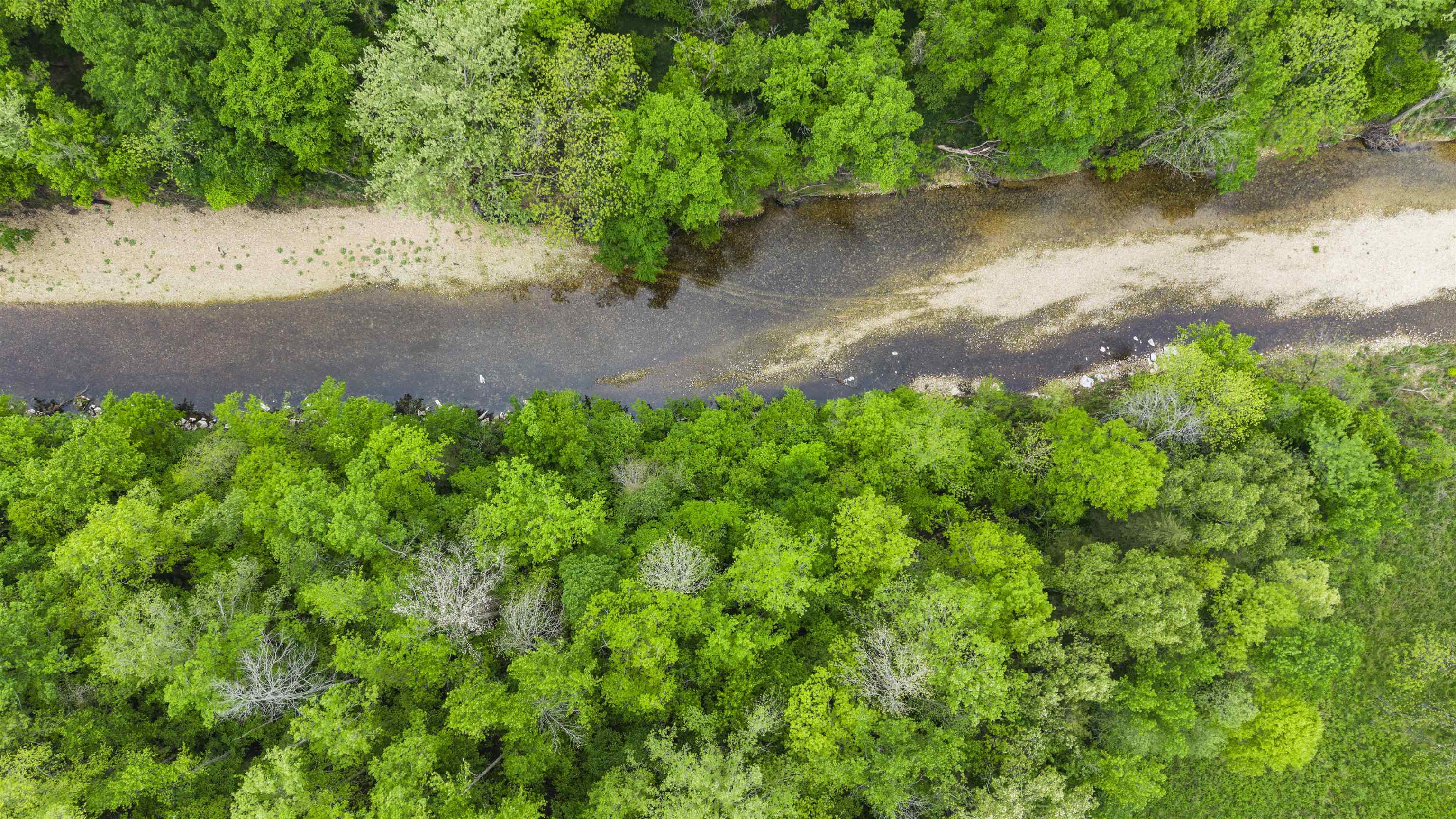 709 Jones  Timbo, AR