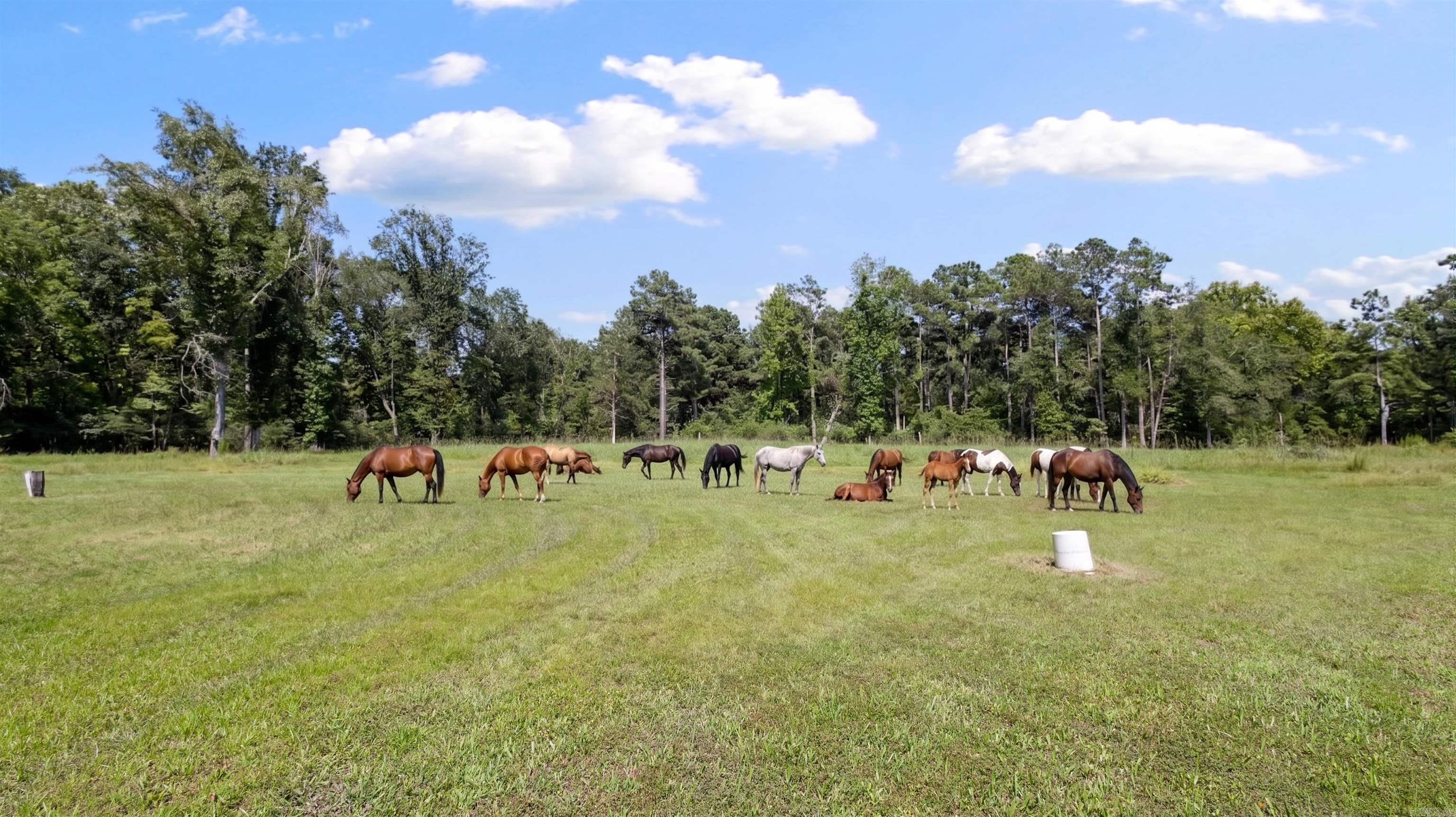512 Pine St  Winthrop, AR