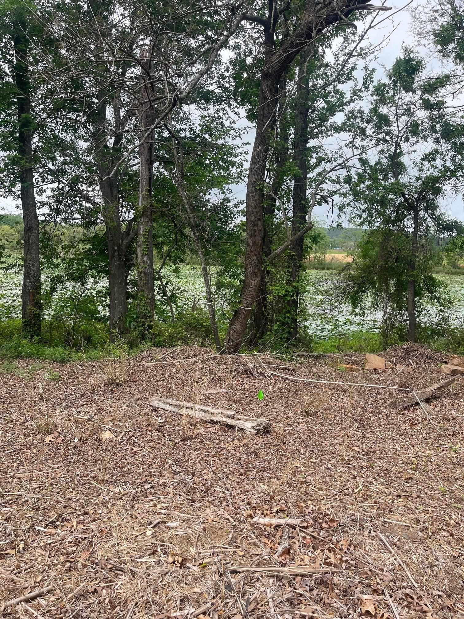 30 Dam Road  Mayflower, AR