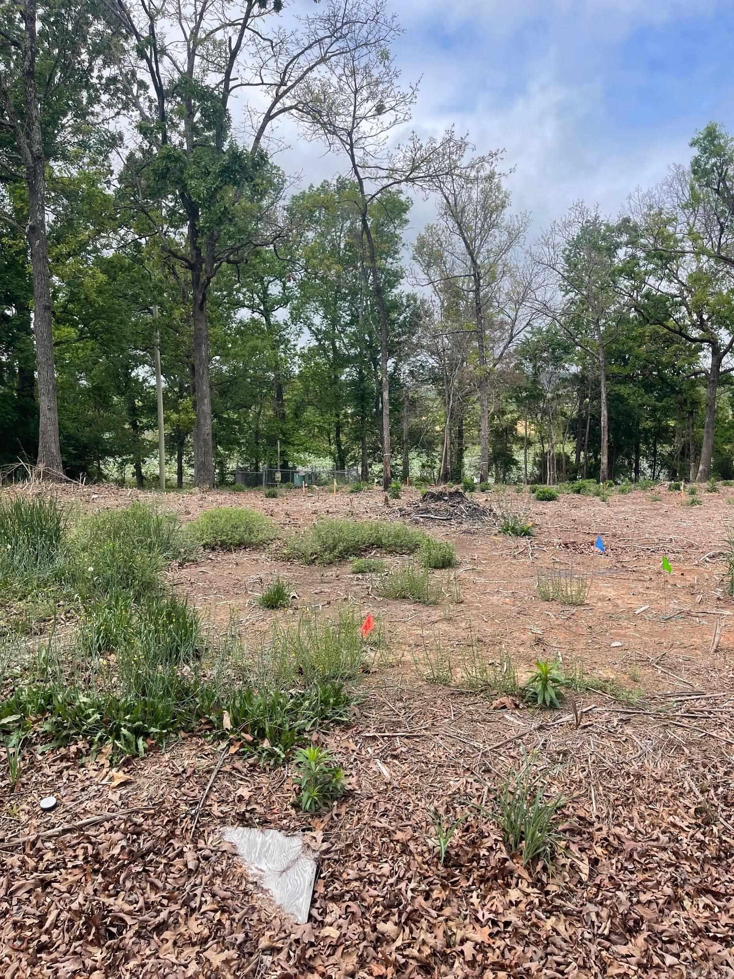 30 Dam Road  Mayflower, AR