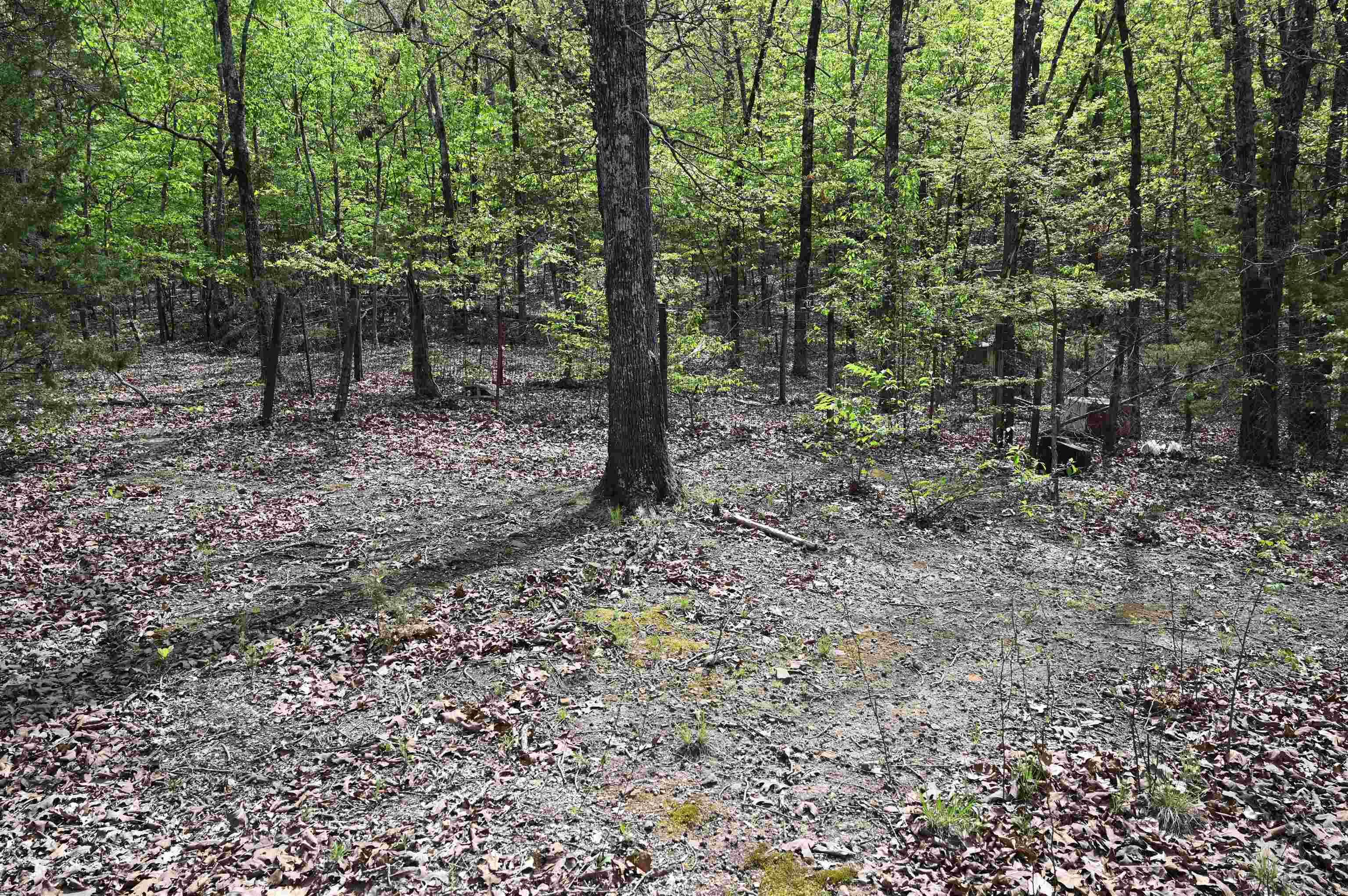 20 Wheeler  Conway, AR