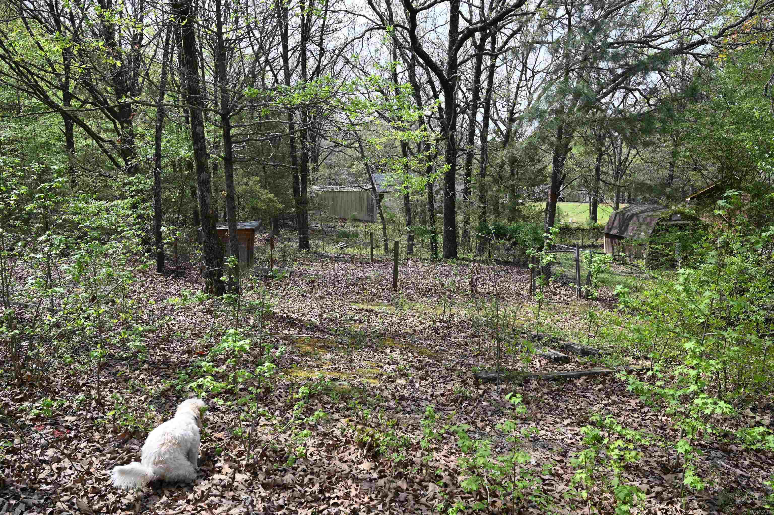 20 Wheeler  Conway, AR