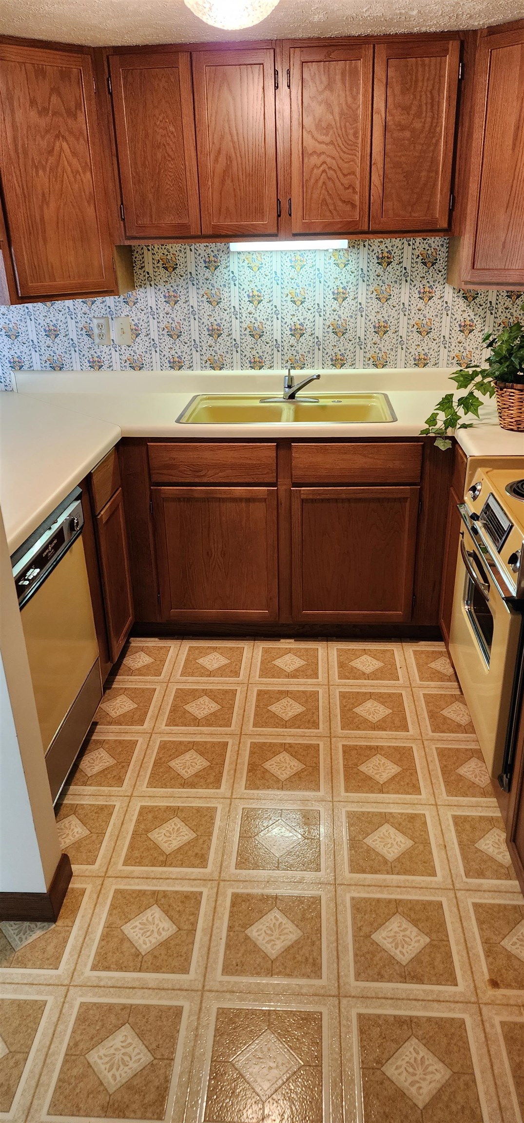 16 Annette  Cherokee Village, AR