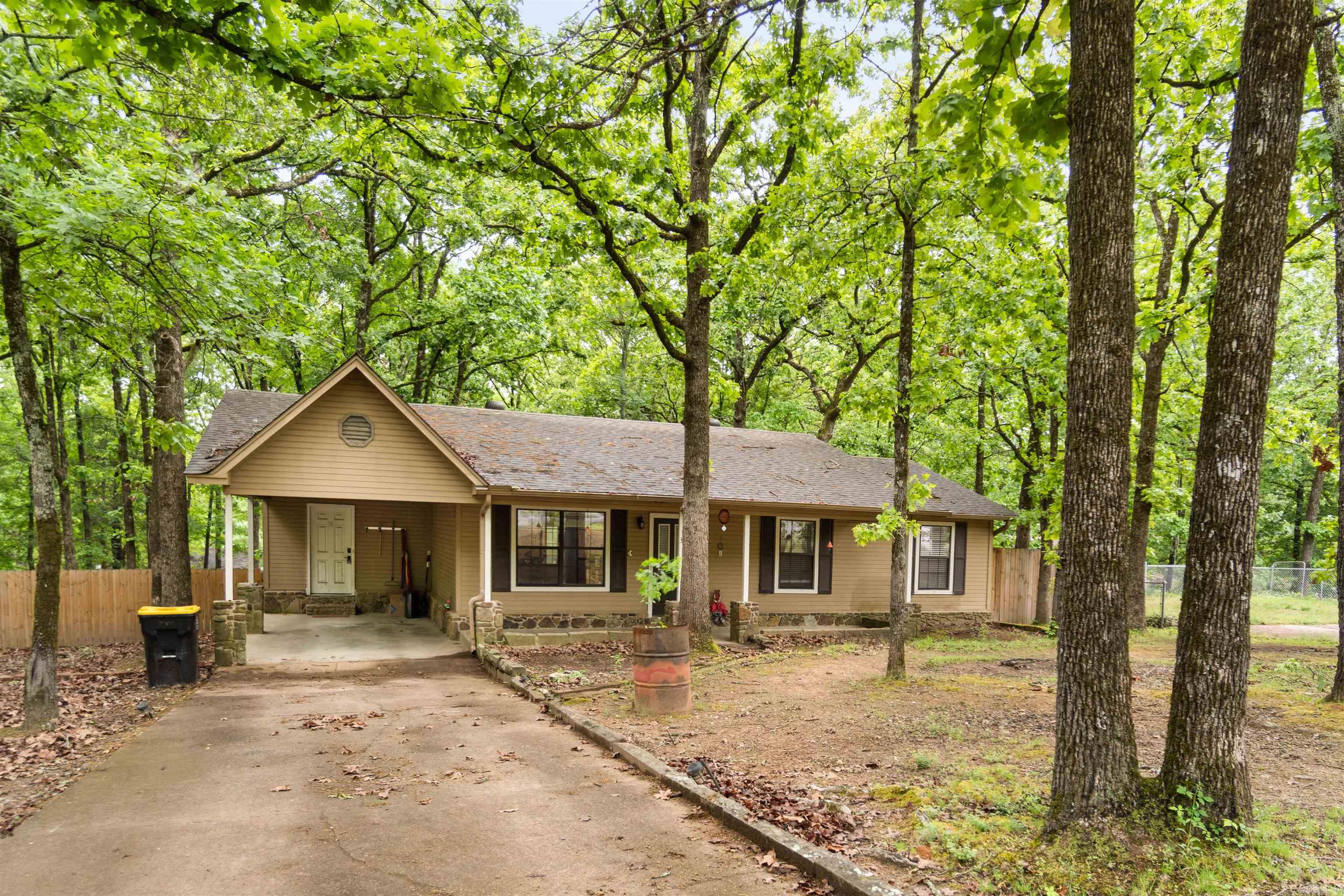 3 Chipmunk  Conway, AR