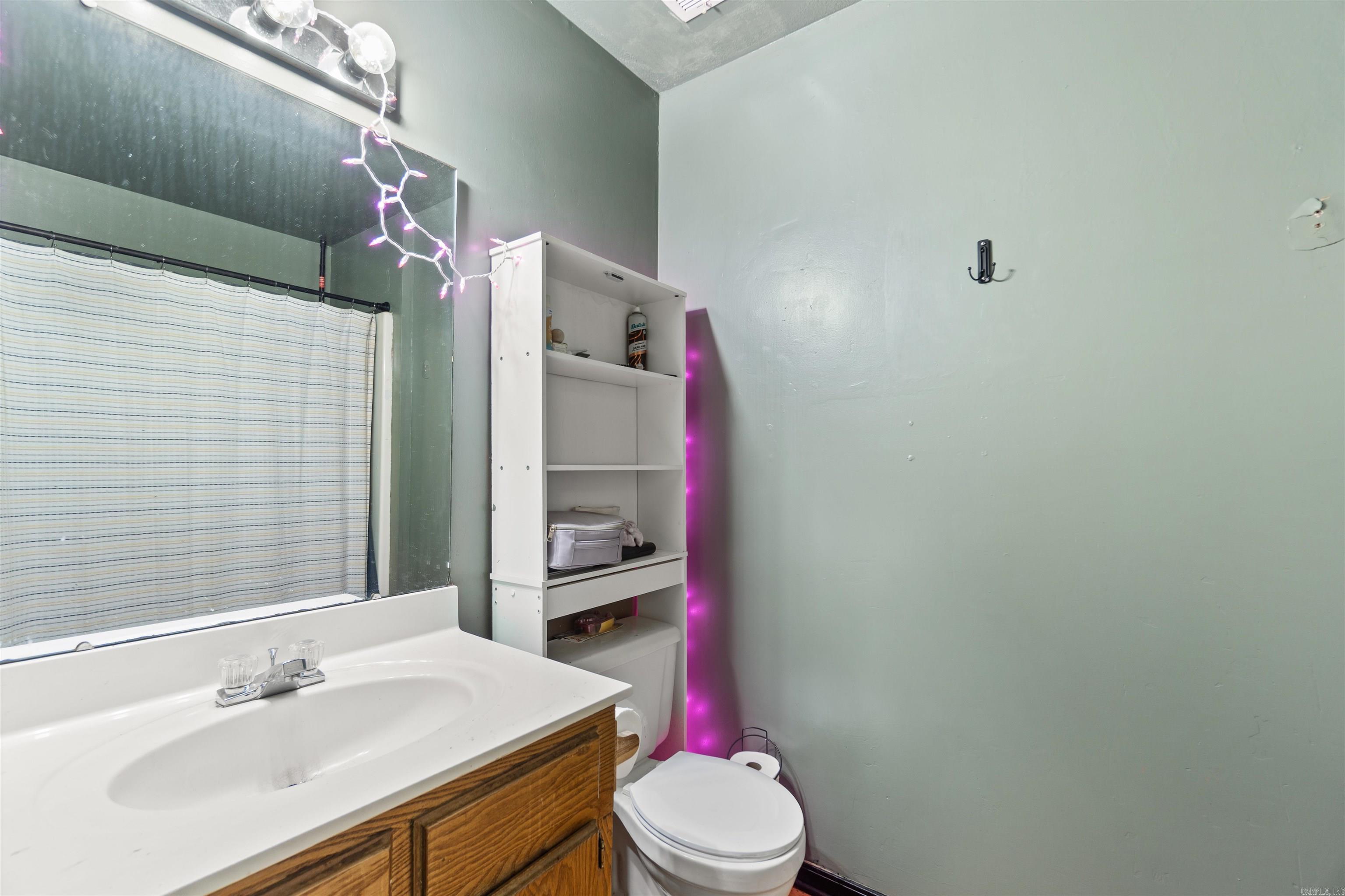 3 Chipmunk  Conway, AR