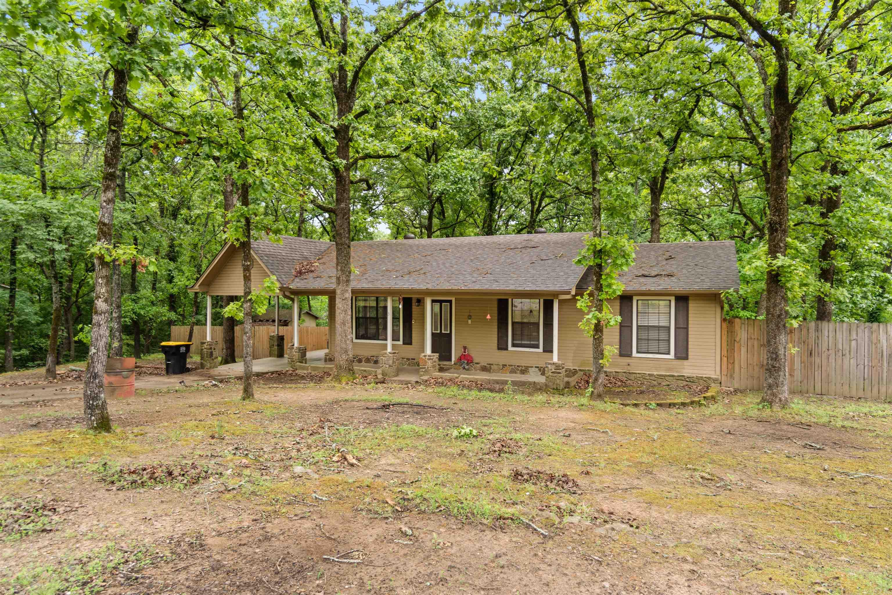 3 Chipmunk  Conway, AR